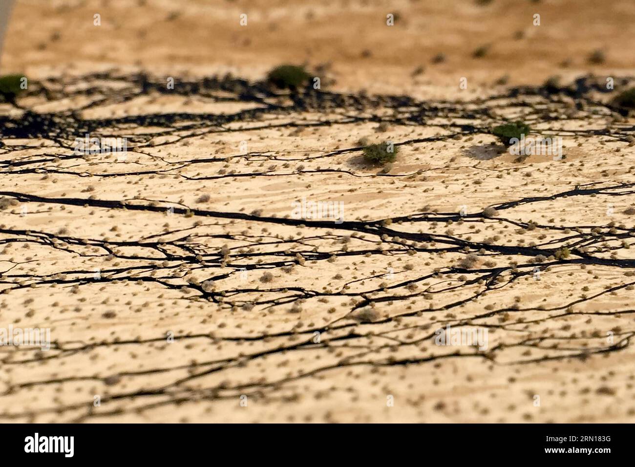 (141204) -- JERUSALEM, 4. Dez. 2014 -- Luftaufnahme des israelischen Umweltschutzministeriums zeigt eine große Ölpest, die durch eine Ölpipeline verursacht wurde, die bei Wartungsarbeiten in der Arava-Wüste im Süden Israels am 4. Dez. 2014 beschädigt wurde. Eine Ölleckage überflutete über Nacht ein Wüsten-Naturschutzgebiet im Süden Israels und verursachte eine der schlimmsten ökologischen Katastrophen in Israel, sagten Beamte und lokale Medien am Donnerstag. ISRAEL-ARAVA-WÜSTE-ÖL VERSCHÜTTET JINI PUBLICATIONxNOTxINxCHN Jerusalem DEZ 4 2014 Handout Luftbild zur Verfügung gestellt Stockfoto