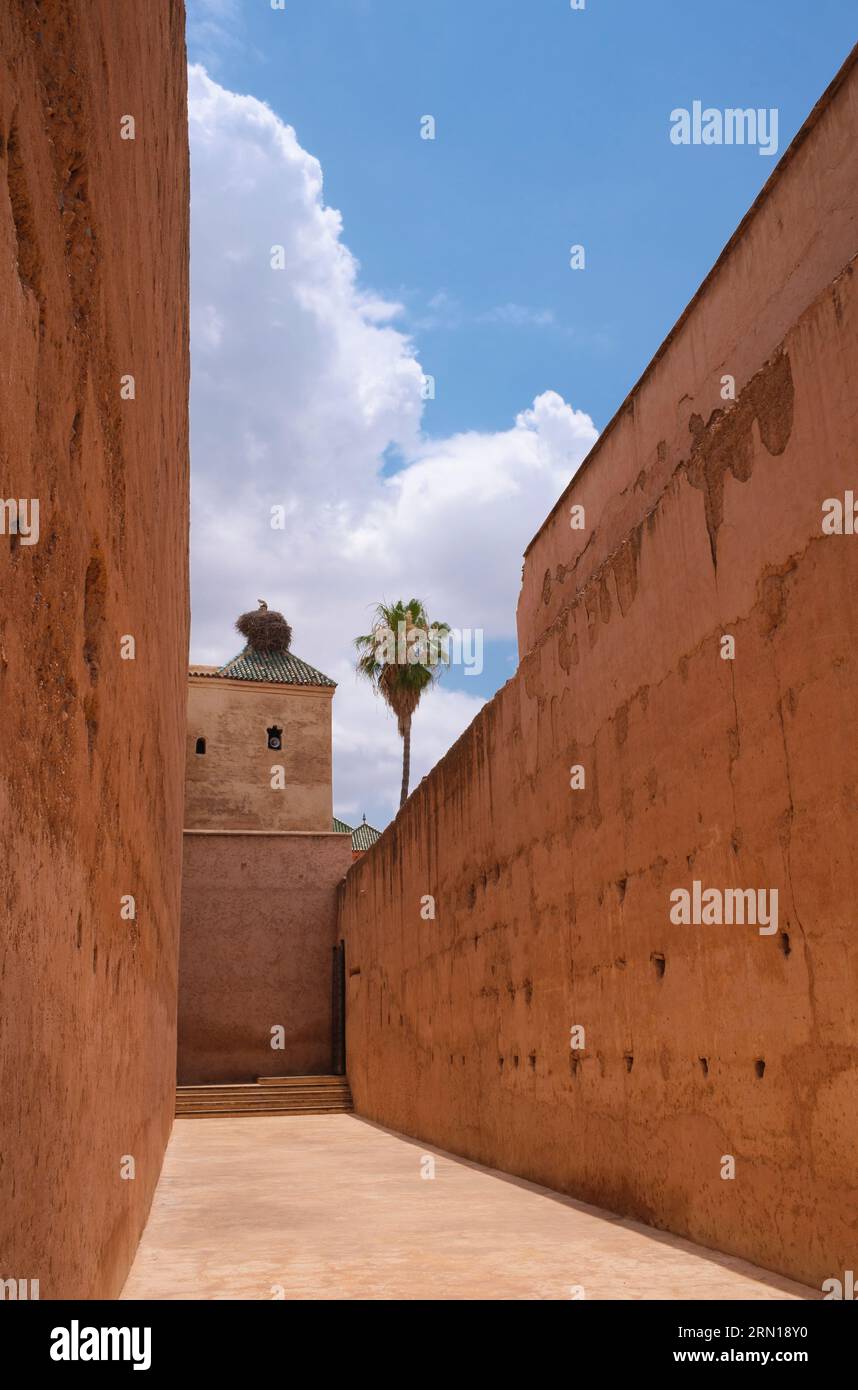 Marokko: Weiße Störche (Ciconia ciconia) in den Ruinen des Palastes El Badi (Badia Palast), Kasbah-Viertel, Medina von Marrakesch, Marrakesch. El Badi Palace (Palast der Wunder, auch „unvergleichlicher Palast“) wurde 1578 von Sultan Ahmad al-Mansur der Saadier-Dynastie in Auftrag gegeben, wobei der Bau während seiner gesamten Herrschaft fortgesetzt wurde. Der Palast, dekoriert mit Materialien, die aus zahlreichen Ländern von Italien bis Mali importiert wurden, wurde für Empfänge genutzt und entworfen, um den Reichtum und die Macht des Sultans zu demonstrieren. Es war ein Teil eines größeren Saadier-Palastkomplexes im Kasbah-Viertel von Marrakesch. Stockfoto