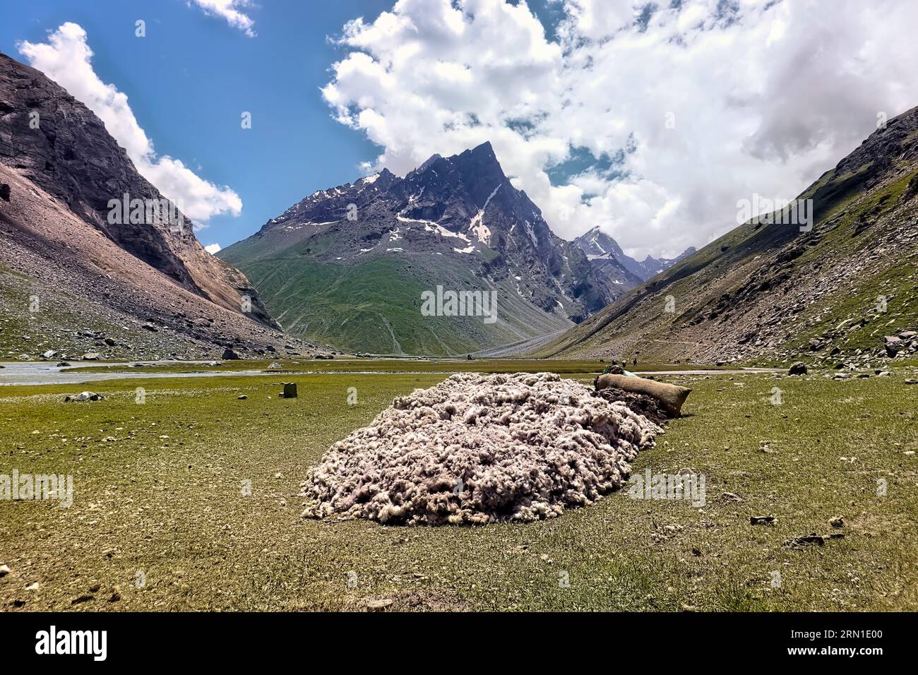 Frische Schafwolle, Warwan Valley, Kaschmir, Indien Stockfoto