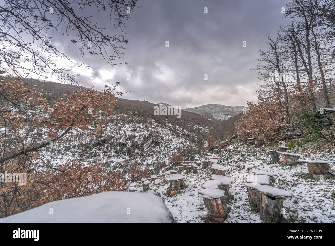 Landschaft mit schneebedeckten Bergen und laublosen Bäumen mitten im Winter. Vollständig weiße Landschaft in der Stadt La Hiruela, Madrid, Spanien. Stockfoto