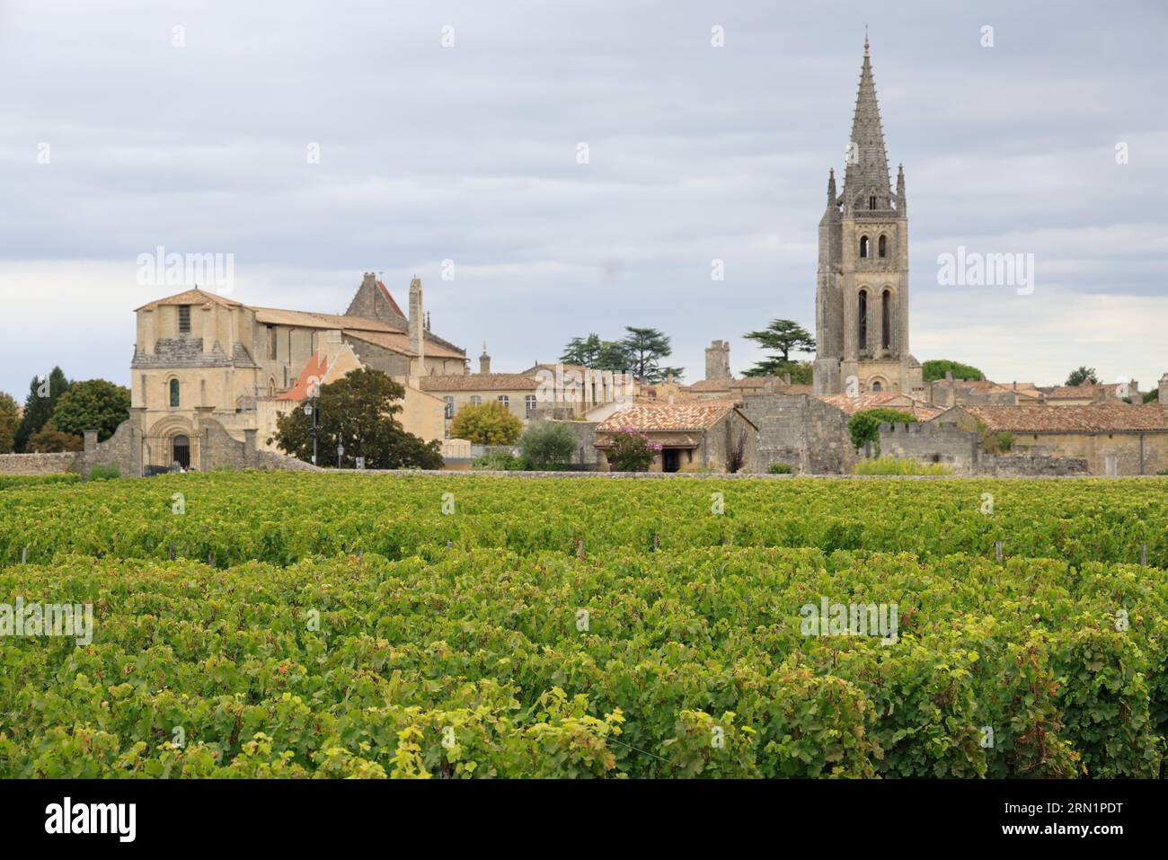 Saint-Emilion. Vigne, Vignol, Rosinen, Dorf. Production de vin rouge. Saint-Emilion, Gironde, Frankreich, Europa Stockfoto