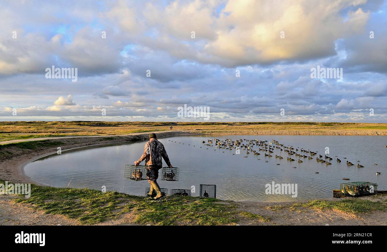 Entenjagd in Grand Fort Philippe (Nordfrankreich): Wasservogeljagd mit Mitgliedern der „ACCL Nord, Association des Chasseurs Cotiers du Littoral“ Stockfoto