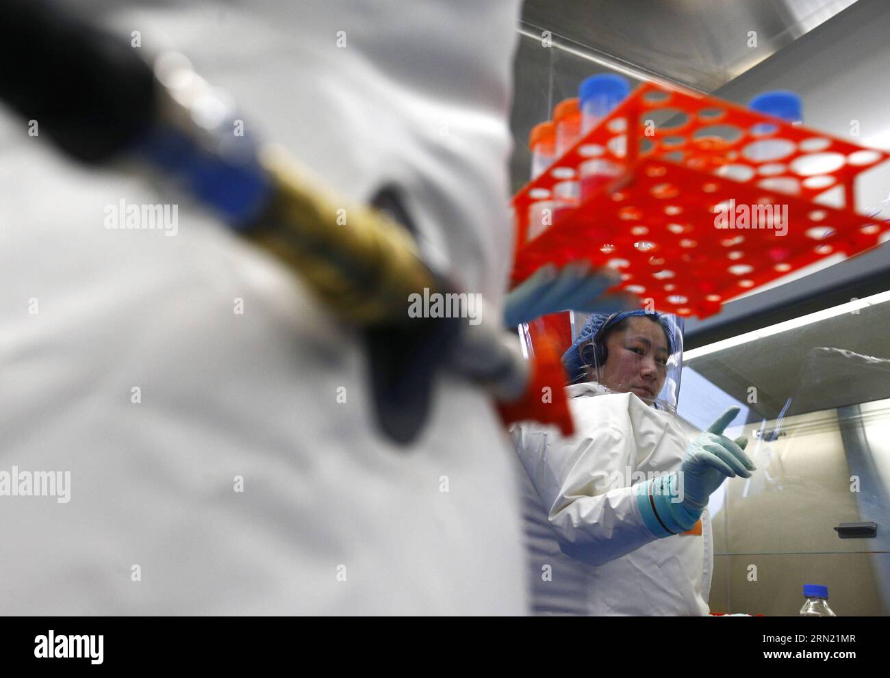 150131 -- WUHAN, Ein Forscher, nimmt an einer Übung im neu abgeschlossenen Labor in Wuhan, Hauptstadt der zentralchinesischen Provinz Hubei, am 30. Januar 2015 Teil. Nach mehr als einem Jahrzehnt Bauzeit hat China sein erstes hochrangiges Biosicherheitslabor in Wuhan am Samstag in Wuhan fertiggestellt. Das Labor wird für die Untersuchung der Klasse vier Pathogene P4 verwendet, die sich auf die virulentesten Viren beziehen, die ein hohes Risiko für Aerosol-übertragene Personen-zu-Personen-Infektionen darstellen. wyo CHINA-WUHAN-BIOSICHERHEITSLABOR CN YinxGang PUBLICATIONxNOTxINxCHN Stockfoto
