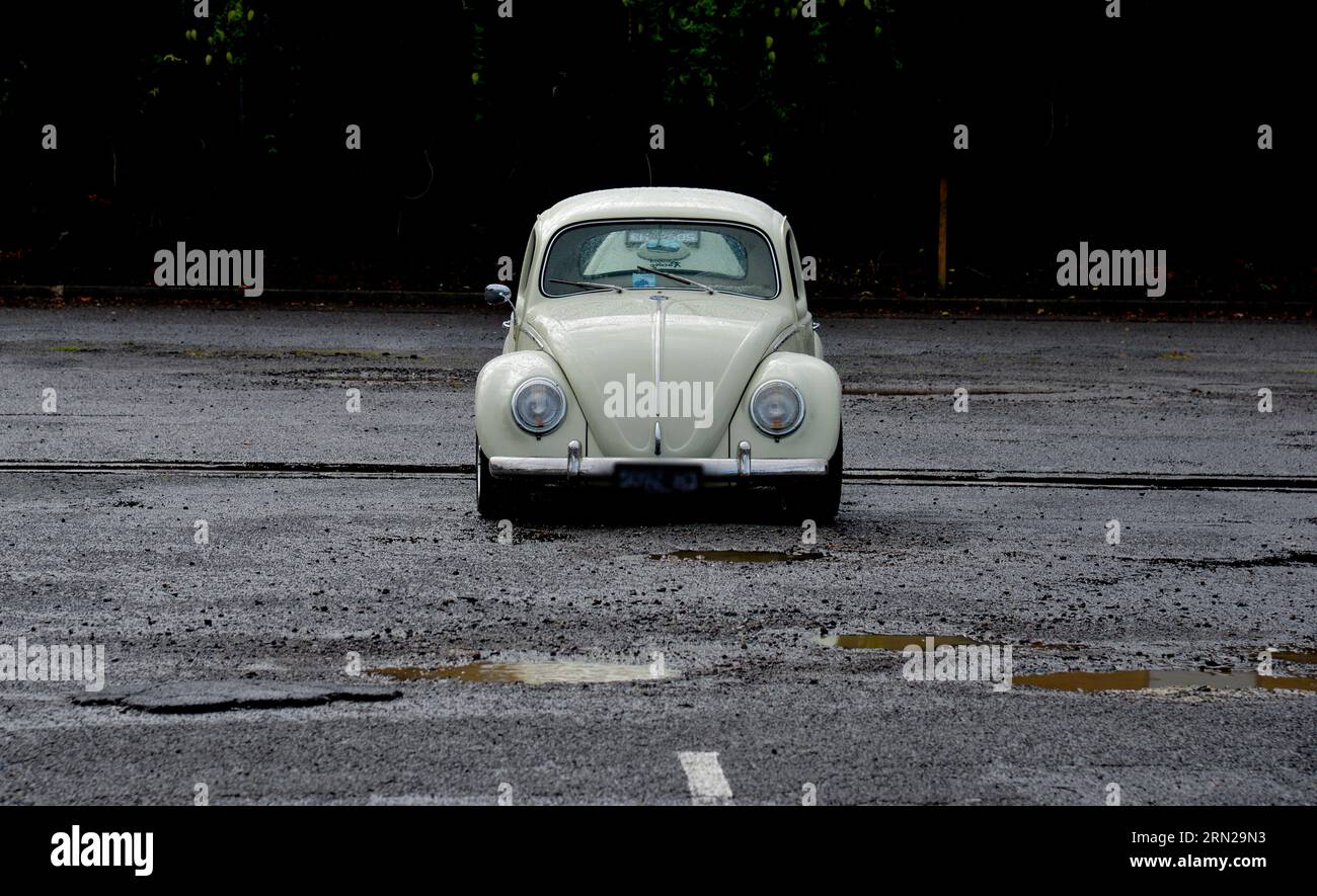 Volkswagen VW Beetle Cream White Vintage Retro Show Shine Day Out, Melbourne Victoria Stockfoto