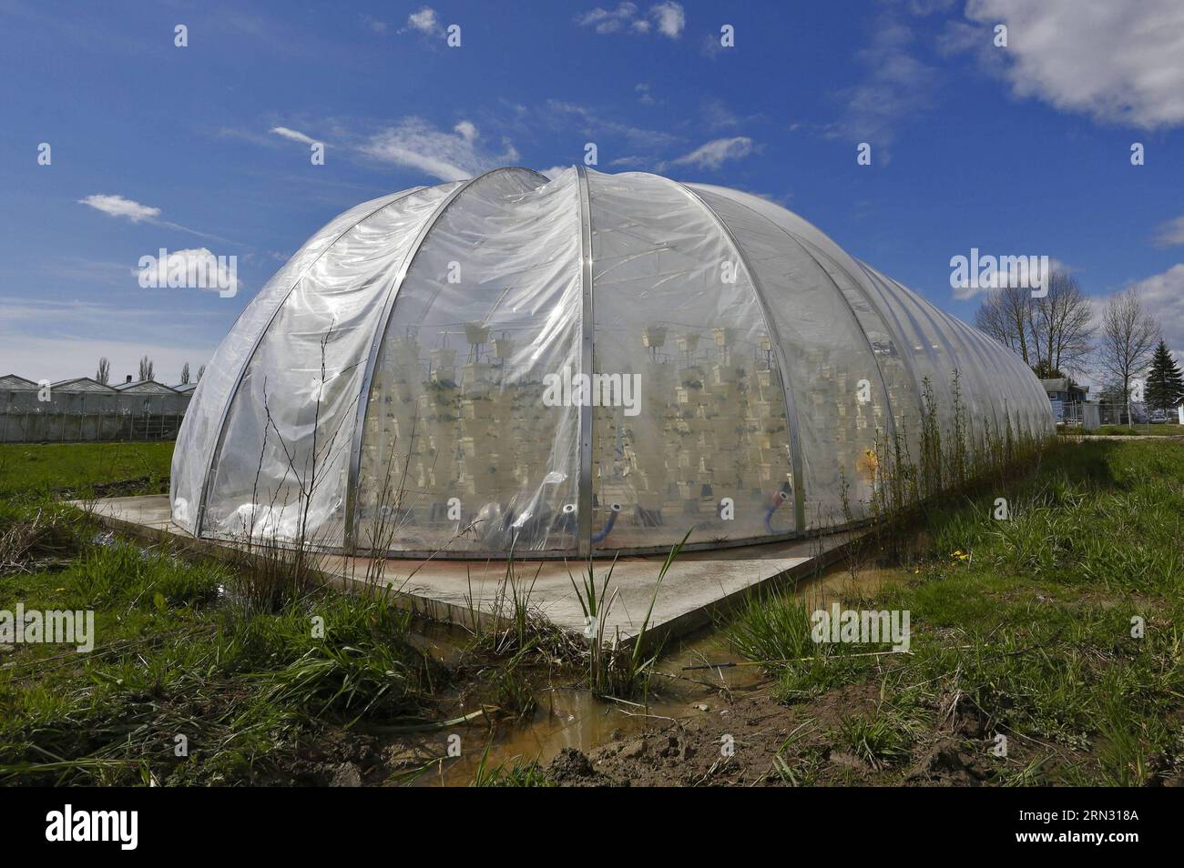 Eine Raumkapsel in Form eines landwirtschaftlichen biodome wird auf einer Farm in Surrey nahe Vancouver, Kanada, am 1. April 2015 gesehen. Der 3.000 Quadratmeter große biodome ist eine geschlossene, geschlossene Umgebung. Die Panels werden mit einer speziellen Kunststofffolie hergestellt, die eine nahezu vollständige Isolierung gegen die umgebende Umgebung bieten kann, um Verschmutzung und Krankheiten zu vermeiden. Pflanzen können ohne Boden wachsen und 10 Mal weniger Wasser verbrauchen als konventionelle Landwirtschaft. Dieser biodome wurde von einem lokalen Technologieunternehmen gebaut, das dem Problem der weltweiten Nahrungsmittelknappheit helfen wollte. ) CANADA-SURREY-BIODOME LiangxSen PUBLICATIONxNOTxINxCHN A Spa Stockfoto