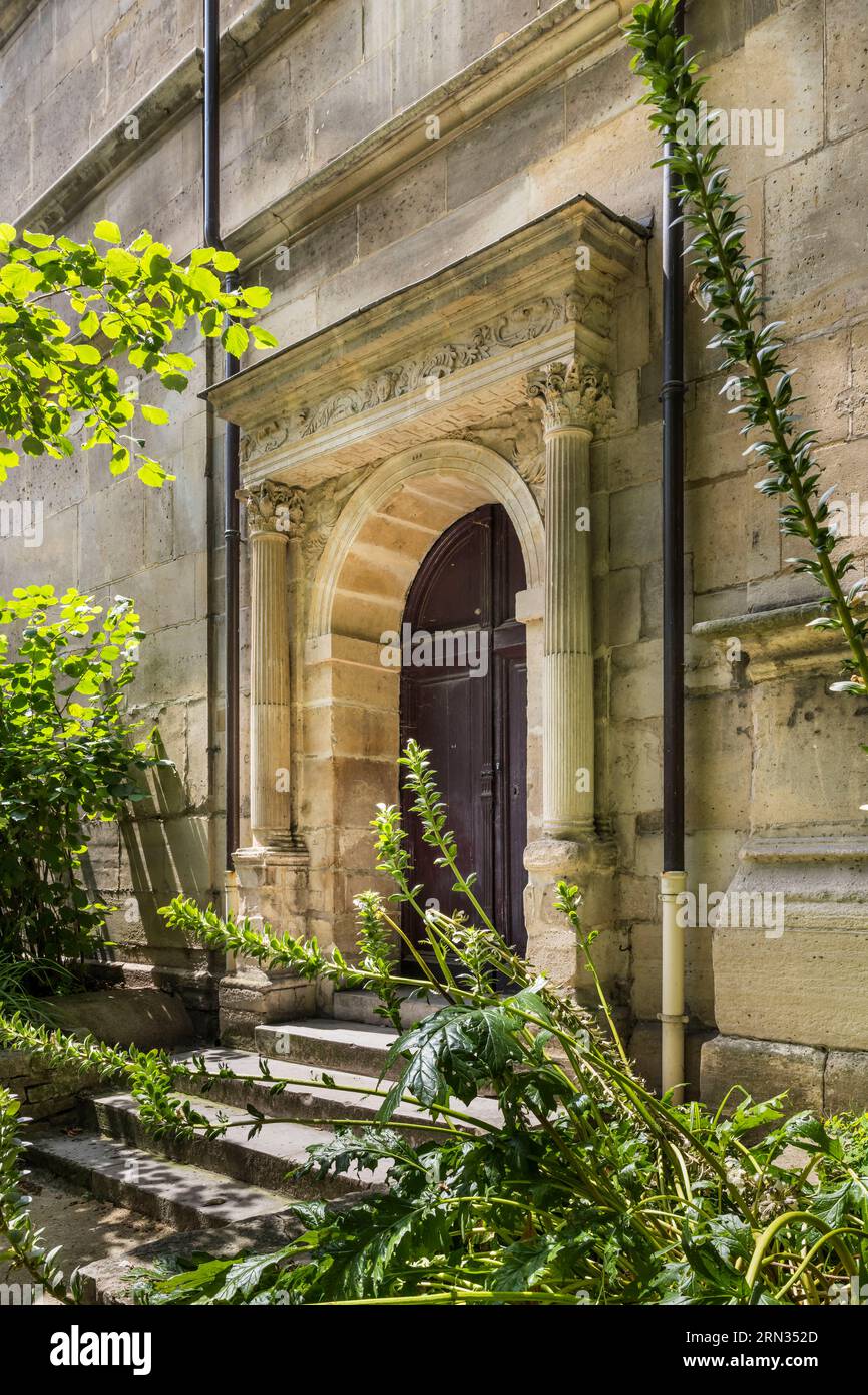 Frankreich, Paris, Musée de Cluny - Musée national du Moyen-Age (Mittelaltermuseum im ehemaligen Hotel de Cluny), Blumen und Akanthusblätter im Vordergrund und geschnitzte Akanthusblätter auf den Kapitellen der Säulen Stockfoto