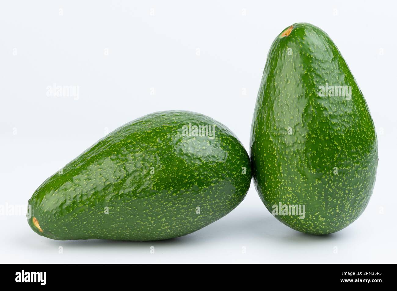 Zwei echte grüne Avocadofrüchte isoliert auf weißem Studiohintergrund Stockfoto