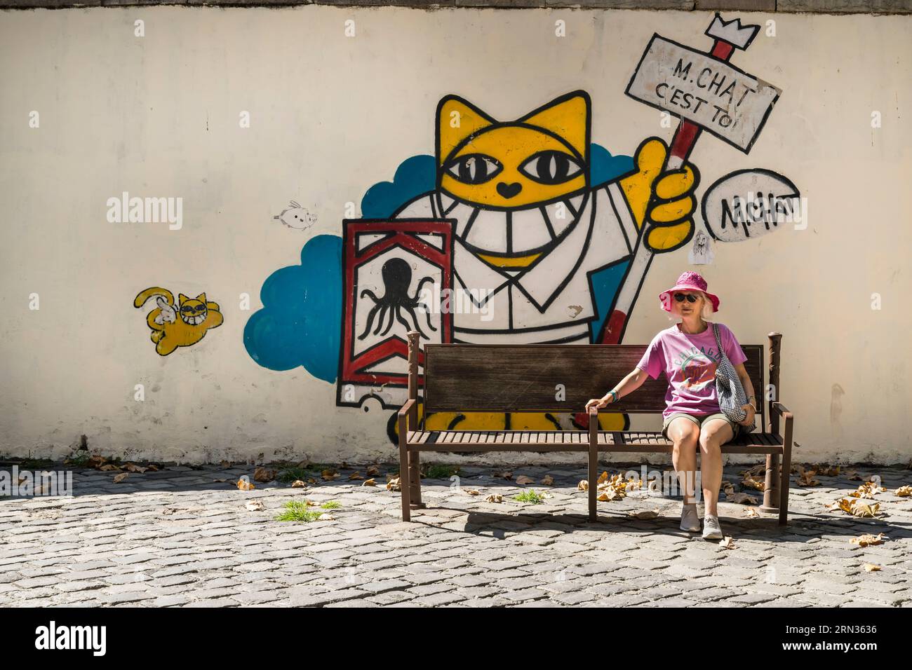 Frankreich, Herault, Sete, Quartier Haut (Oberes Viertel), Wandgemälde, die Teil des MACO (Musee à ciel ouvert) ist - Freilichtmuseum, This Is You (Chat c'EST toi) des Künstlers Mr Chat on Place Léon Blum Stockfoto