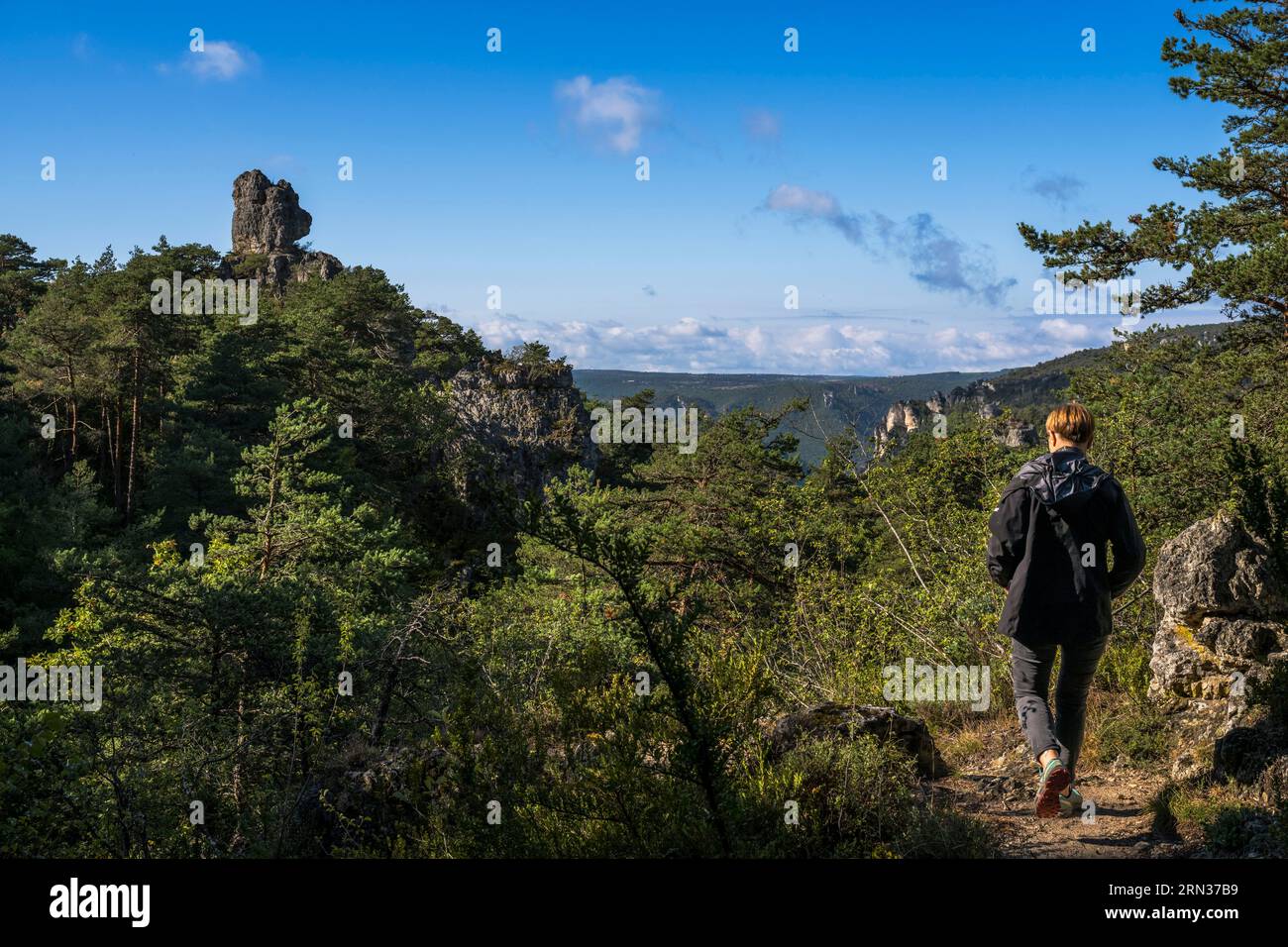 Frankreich, Aveyron, Causses und die Cevennen, Kulturlandschaft der mediterranen Agro-Pastoralismus, UNESCO-Weltkulturerbe, Causse Noir, La Roque Sainte Marguerite, Chaos von Montpellier-le-Vieux, Cité de Pierres (Stadt der Steine), der Felsen namens Tête d'Ours Stockfoto