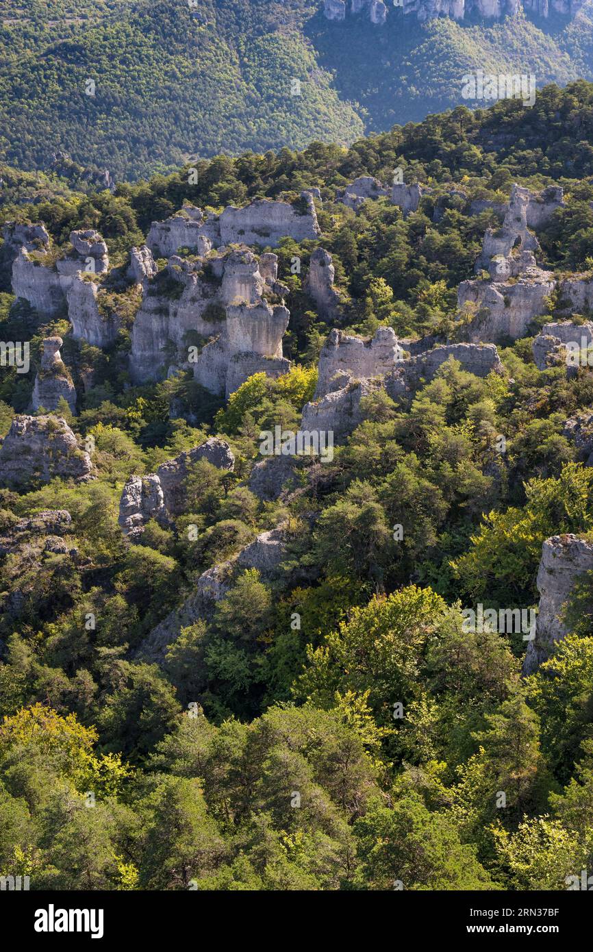 Frankreich, Aveyron, Causses und die Cevennen, Kulturlandschaft der mediterranen Agro-Pastoralismus, UNESCO-Weltkulturerbe, Causse Noir, La Roque Sainte Marguerite, Chaos von Montpellier-le-Vieux, Cité de Pierres (Stadt der Steine) Stockfoto