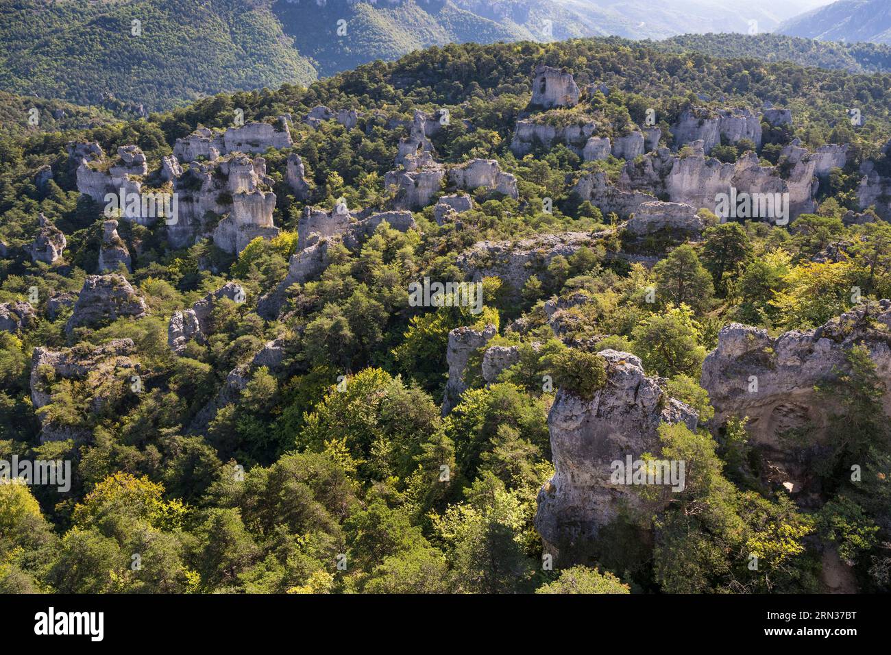 Frankreich, Aveyron, Causses und die Cevennen, Kulturlandschaft der mediterranen Agro-Pastoralismus, UNESCO-Weltkulturerbe, Causse Noir, La Roque Sainte Marguerite, Chaos von Montpellier-le-Vieux, Cité de Pierres (Stadt der Steine) Stockfoto