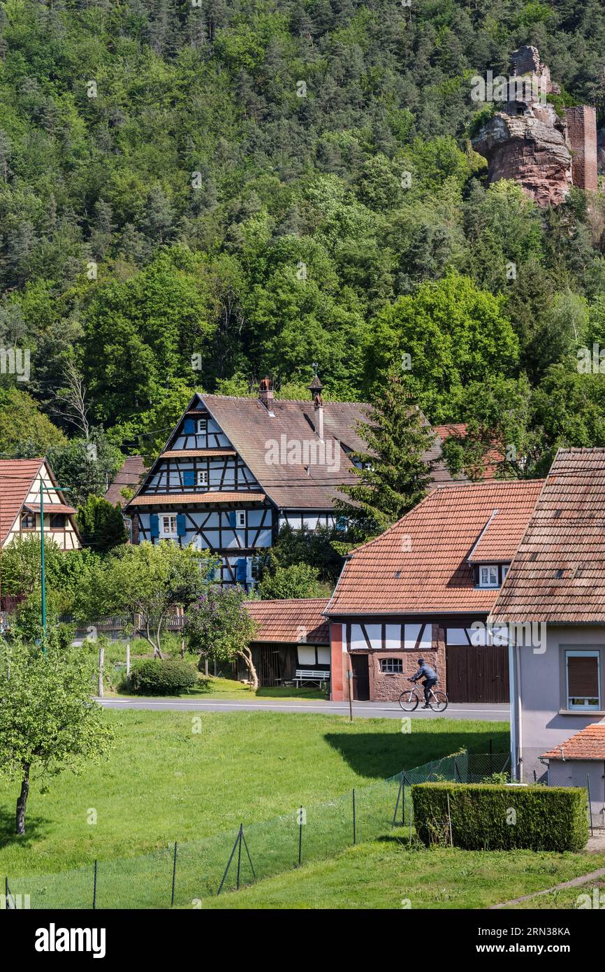 Frankreich, Bas Rhin, regionaler Naturpark der Nordvogesen, Obersteinbach, Burgruine Klein Arnsberg mit Blick auf das Dorf Stockfoto