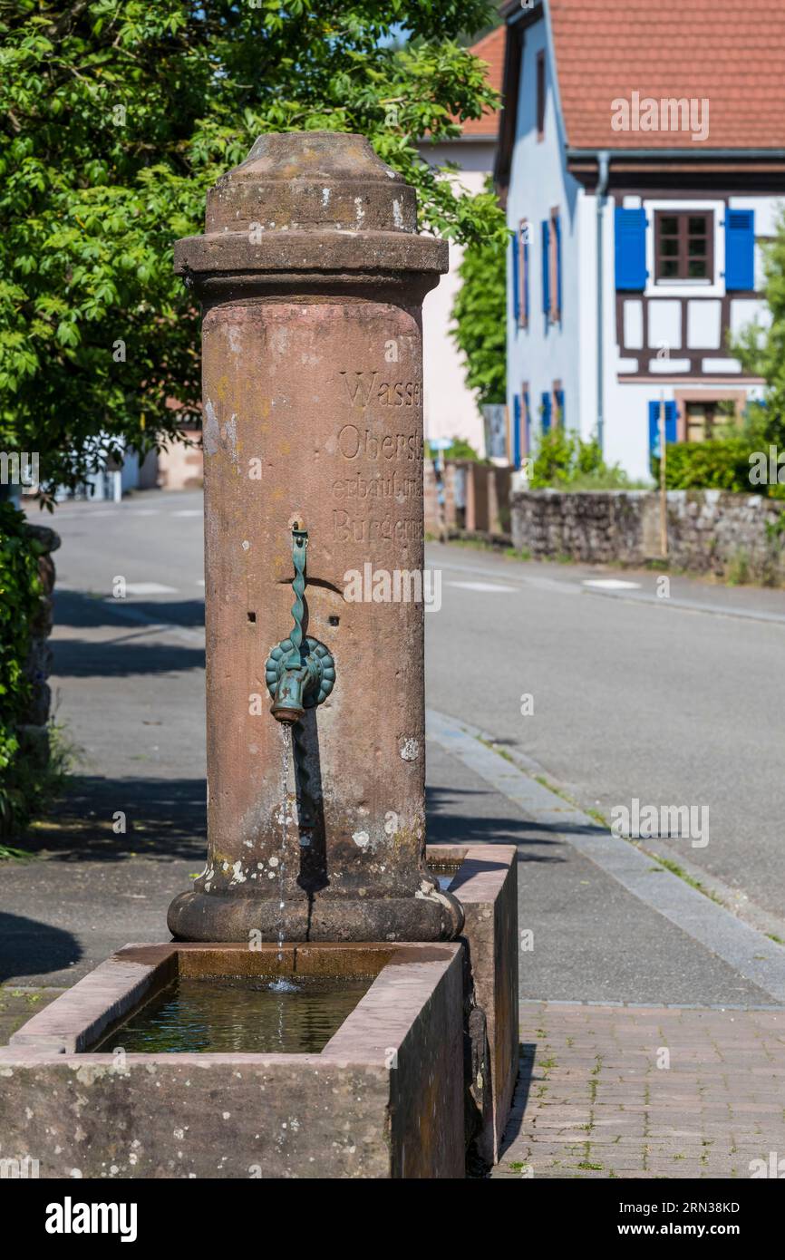 Frankreich, Unterrhein, regionaler Naturpark der Nordvogesen, Obersteinbach, einer der vielen Brunnen in der Hauptstraße Stockfoto