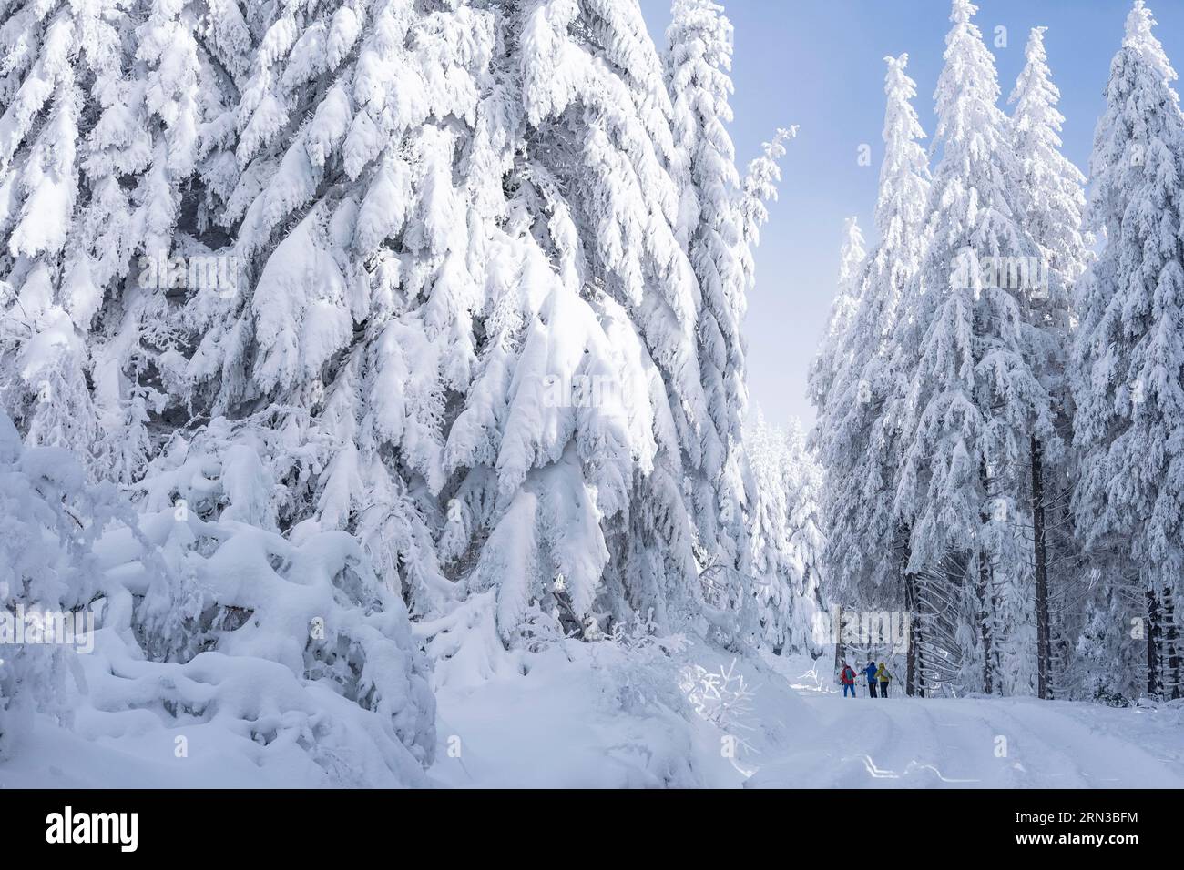 Frankreich, Tarn, Lacaune, Schneeschuhwanderer in Picotalen Stockfoto