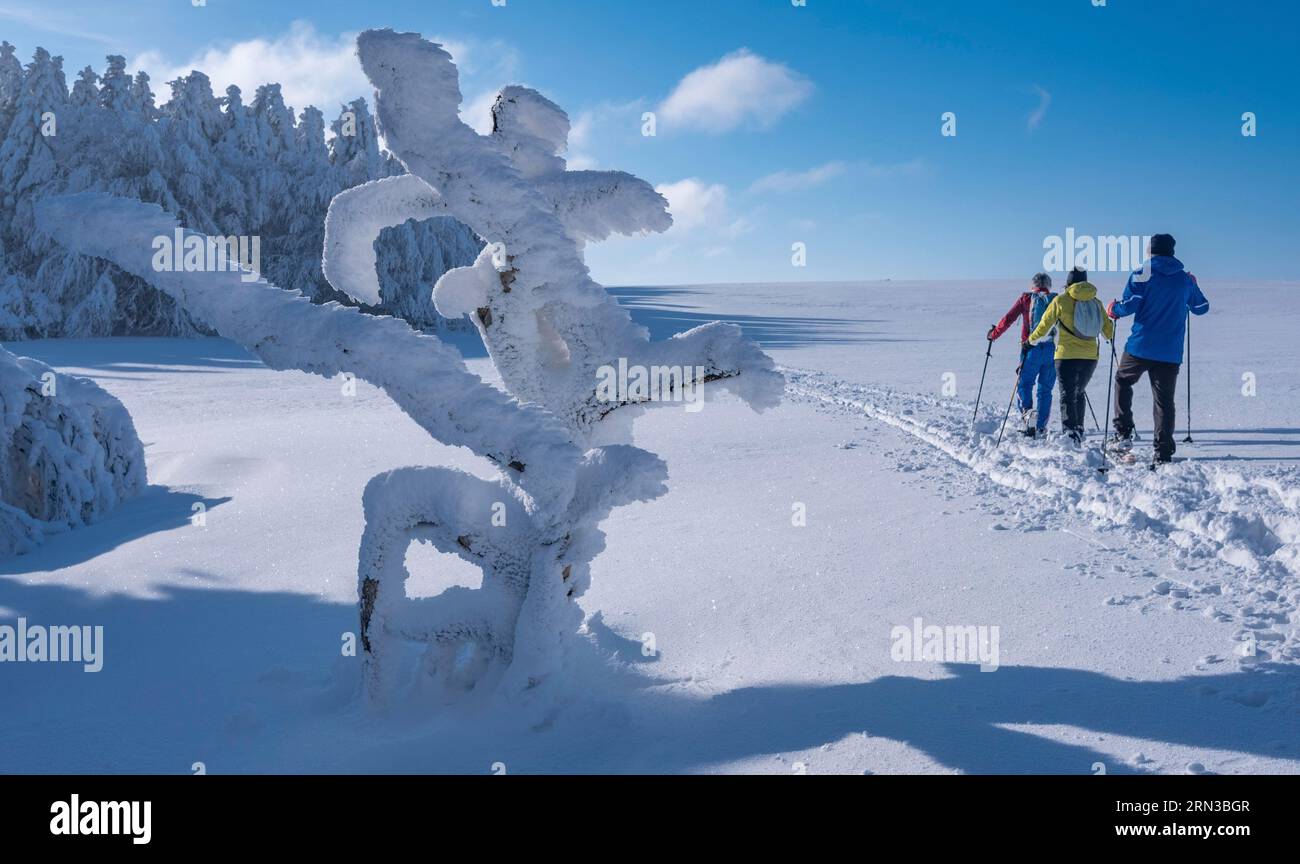 Frankreich, Tarn, Lacaune, Schneeschuhwanderer in Picotalen Stockfoto