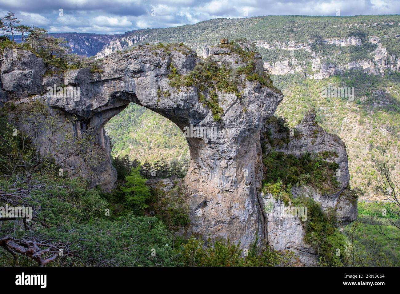 Frankreich, Lozere, Les Vignes, Gorges du Tarn, die Causses und die Cevennen, Kulturlandschaft der mediterranen Agro-Pastoralismus, UNESCO-Weltkulturerbe, Le Baousso del Biel, natürliche Brücke Stockfoto