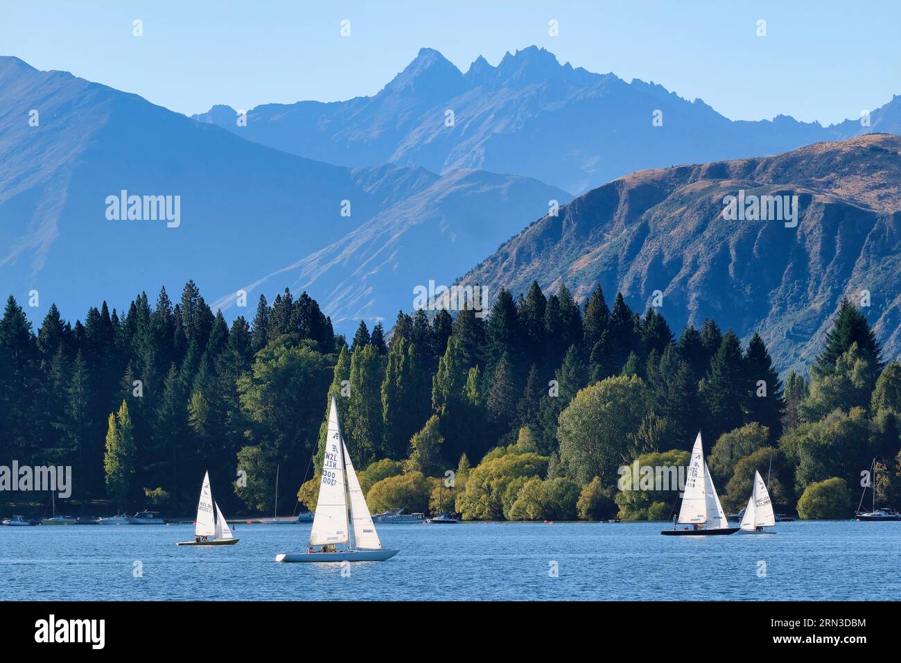 Neuseeland, South Island, Otago, Queenstown-Lakes District, Wanaka, Segeln auf dem Lake Wanaka Stockfoto