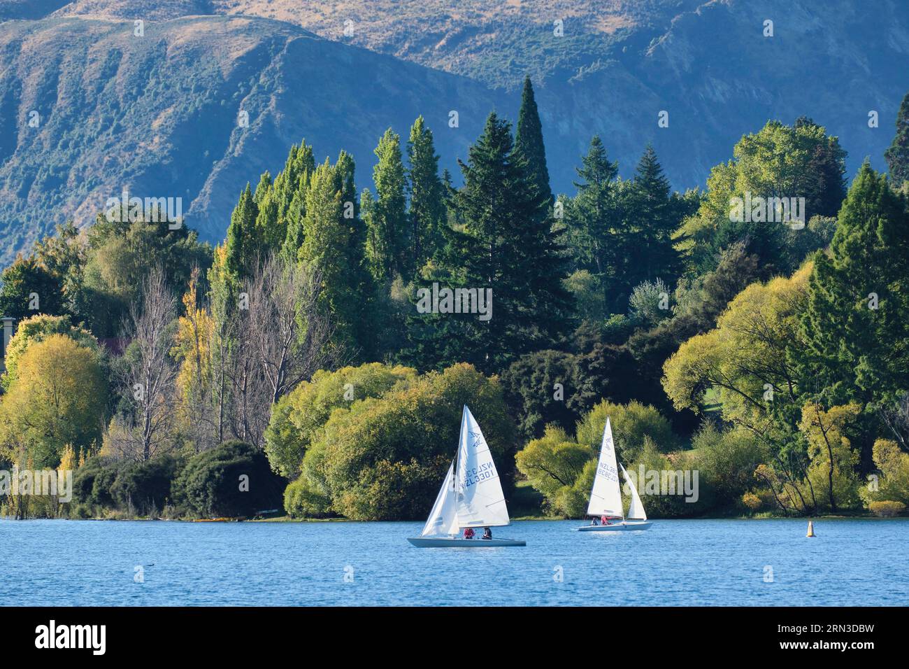 Neuseeland, South Island, Otago, Queenstown-Lakes District, Wanaka, Segeln auf dem Lake Wanaka Stockfoto