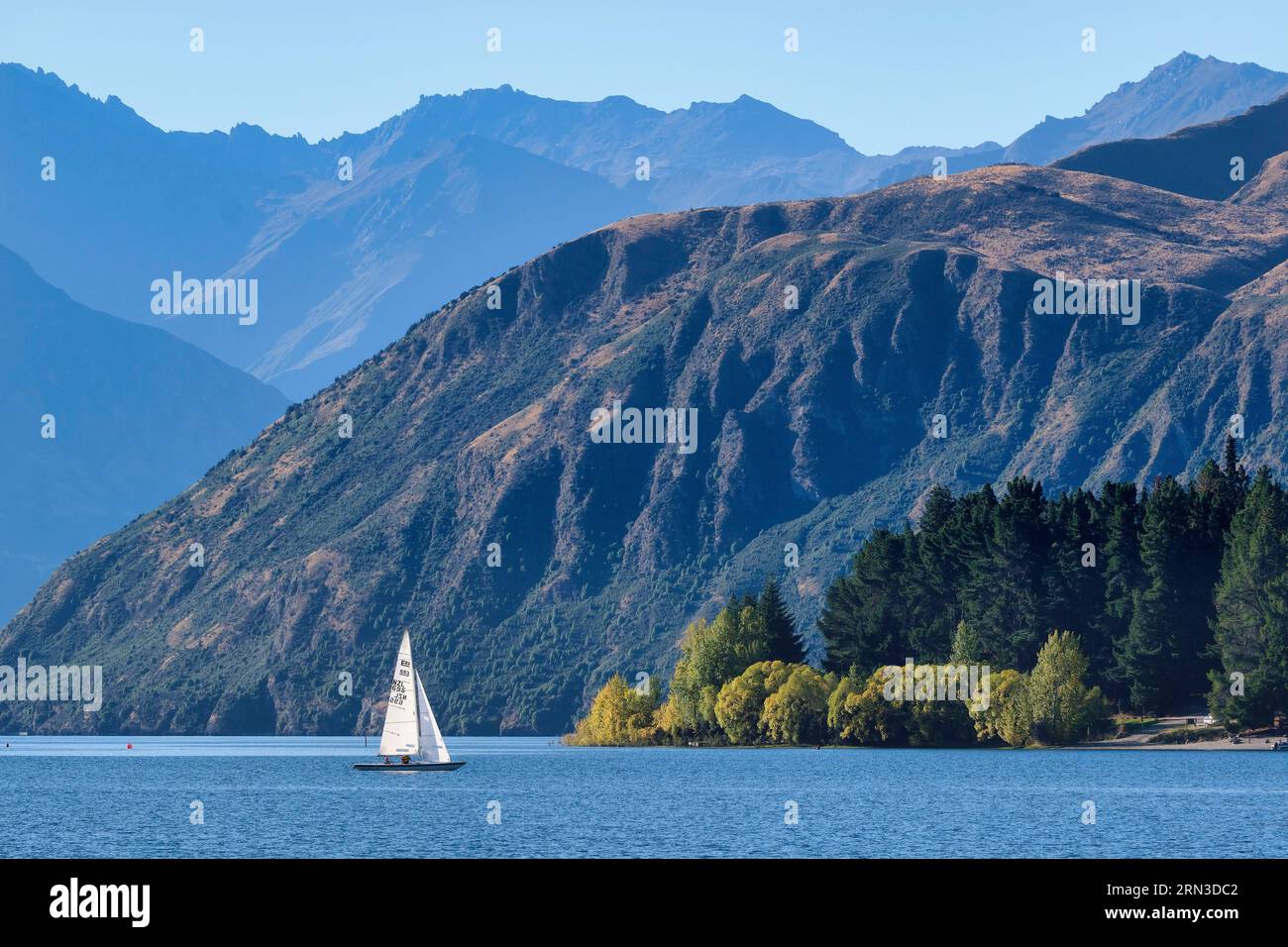 Neuseeland, South Island, Otago, Queenstown-Lakes District, Wanaka, Segeln auf dem Lake Wanaka Stockfoto
