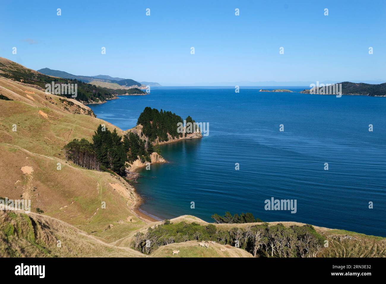 Neuseeland, South Island, Marlborough Sounds, French Pass, man-O-war Bay Stockfoto