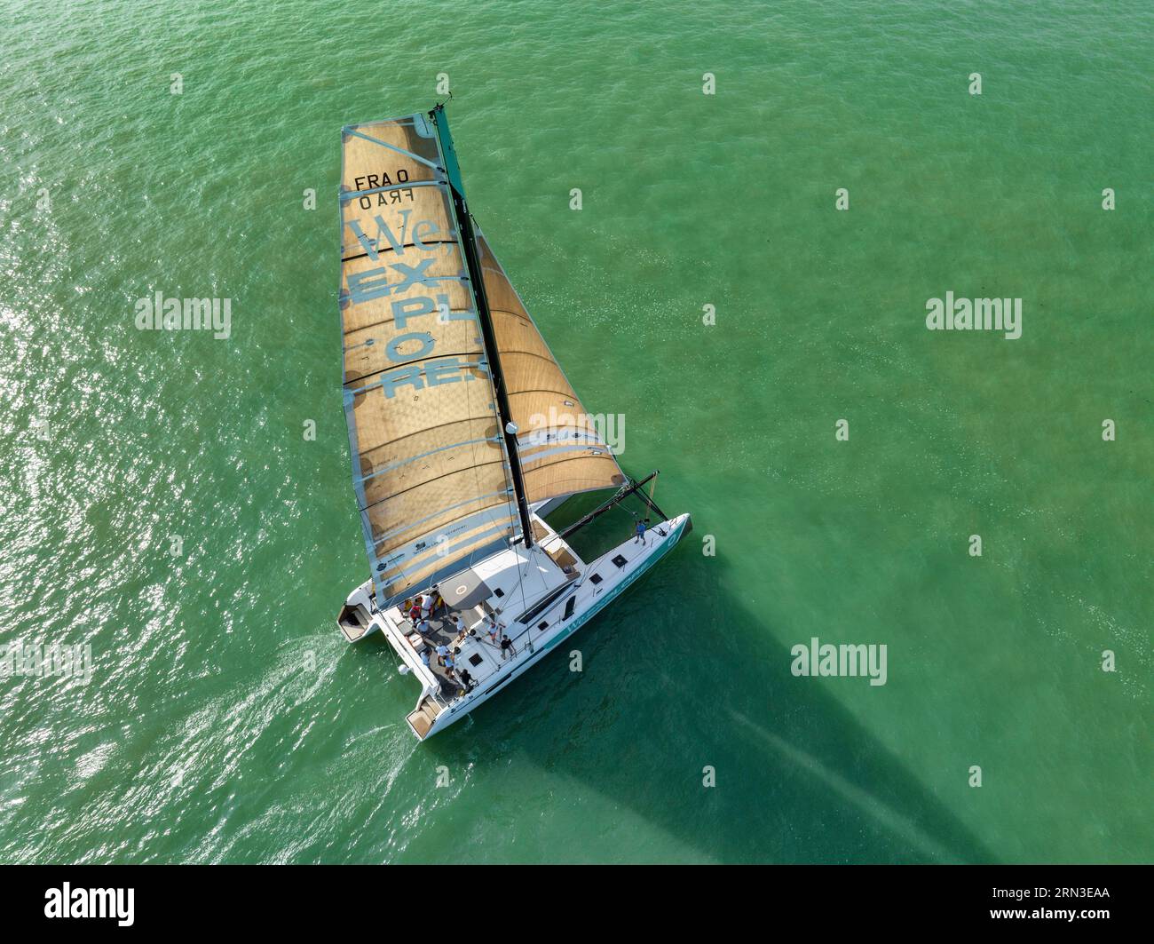 Frankreich, seine Maritime, Saint Valery en Caux, Flachs- und Kunstfaserfestival, Katamaran We Explore, Skipper Roland Jourdain, das Verbundmaterial besteht aus 50 % Flachsfaser, was einem angelegten Hektar entspricht Stockfoto