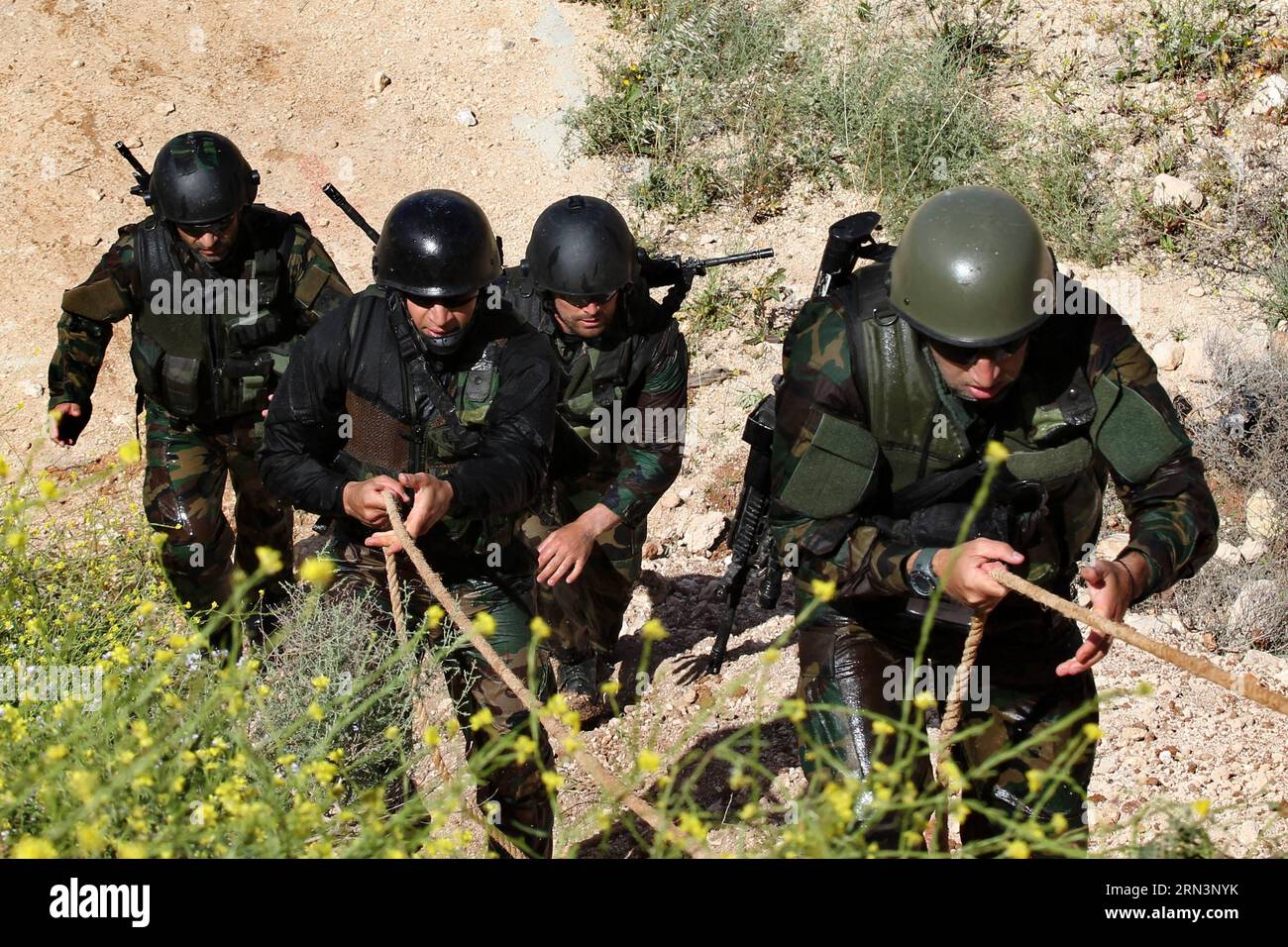 AKTUELLES ZEITGESCHEHEN Jährlicher Soldaten-Wettbewerb in Jordanien (150423) -- AMMAN, 23. April 2015 -- griechische Soldaten treten am letzten Tag des siebten jährlichen Kriegerwettbewerbs am King Abdullah II Special Operations Training Center in Amman, Hauptstadt von Jordanien, am 23. April 2015 an. Mohammad Abu Ghosh) JORDAN-AMMAN-KRIEGERWETTBEWERB chengchunxiang PUBLICATIONxNOTxINxCHN Nachrichten aktuelle Ereignisse jährlich Soldatenwettbewerb in Jordanien Amman 23. April 2015 griechische Soldaten treten AM letzten Tag des Siebten jährlichen Kriegerwettbewerbs BEIM König Abdullah II. Special Operations Trainin an Stockfoto