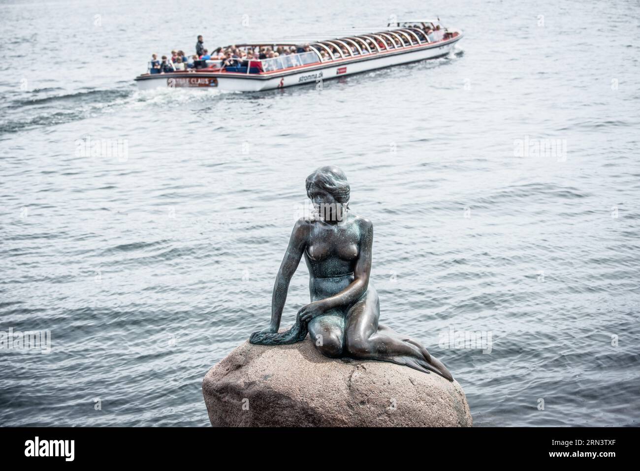 KOPENHAGEN, Dänemark – die ikonische Statue der kleinen Meerjungfrau auf einem Felsen am Ufer der Langelinie Promenade. Die 1909 in Auftrag gegebene und 1913 enthüllte Bronzestatue ist zu einem Emblem Kopenhagens geworden und wurde von Hans Christian Andersens gleichnamigem Märchen inspiriert. Stockfoto