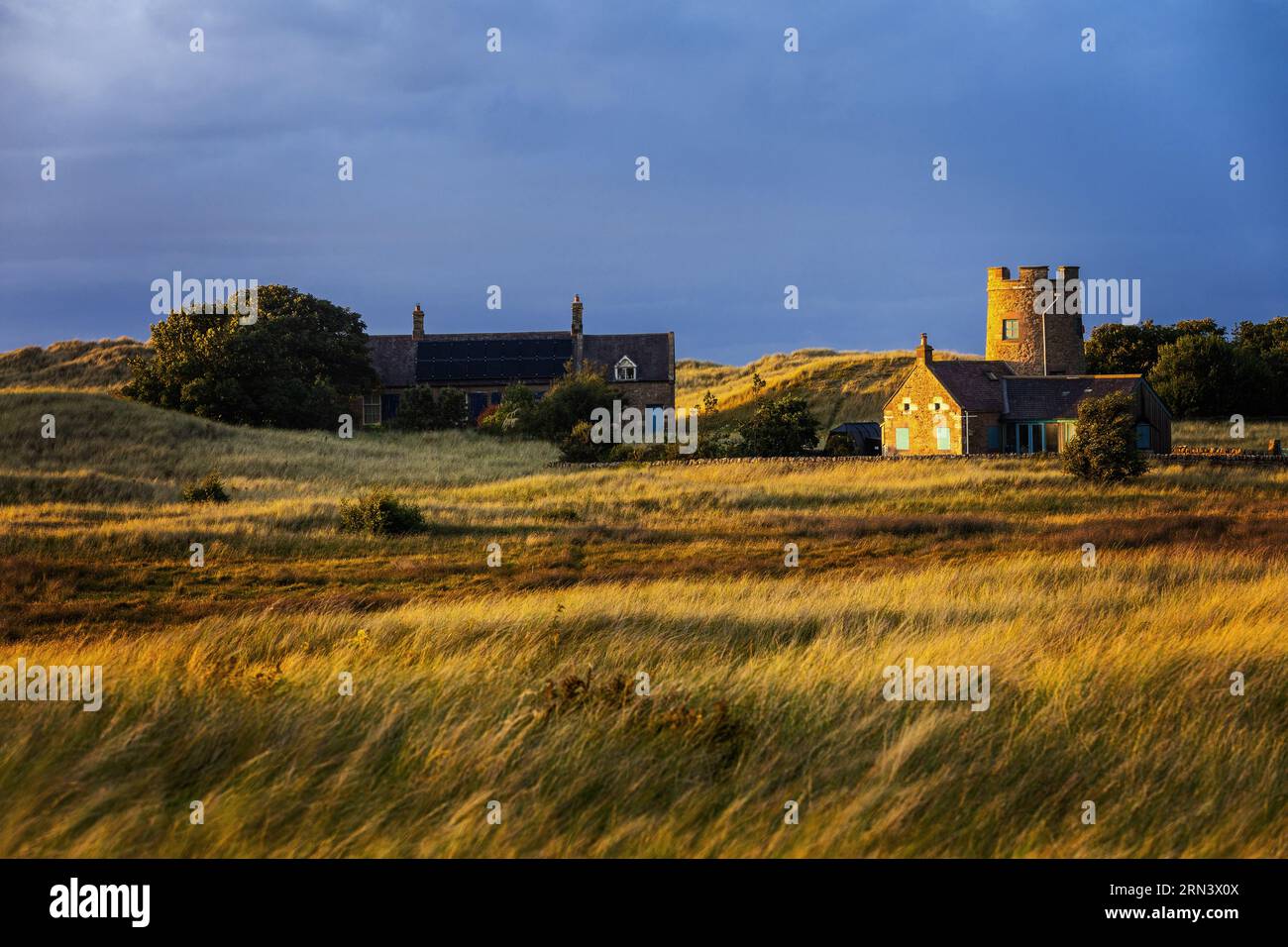 Snook Tower und House auf Holy Island Stockfoto