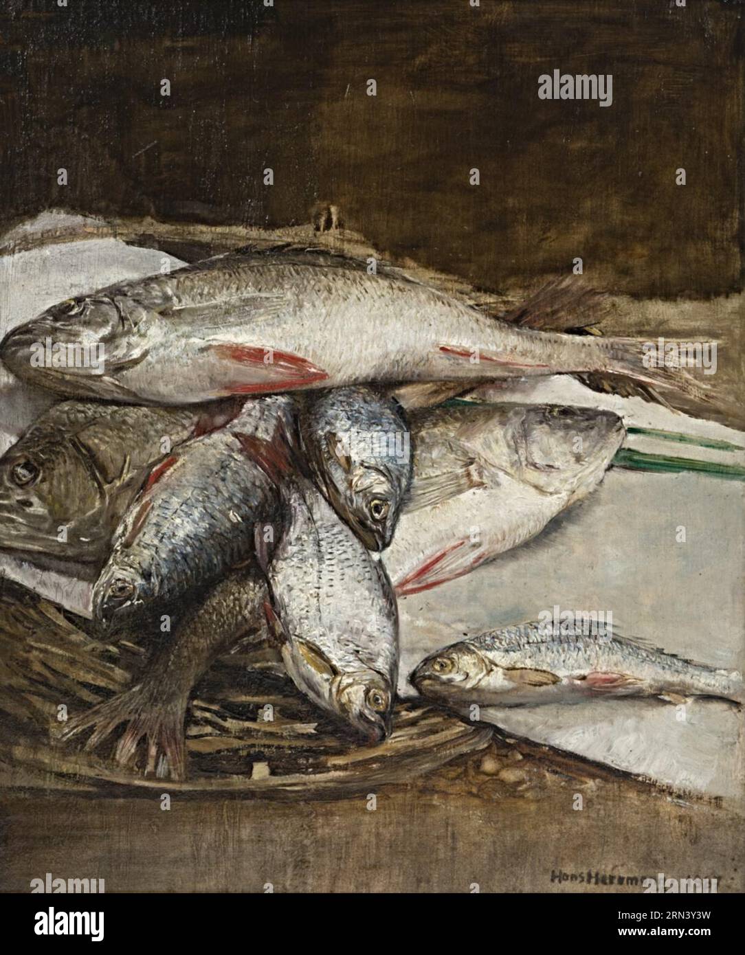 Fischstilleben (Flußfische) 1887 von Hans Herrmann Stockfoto