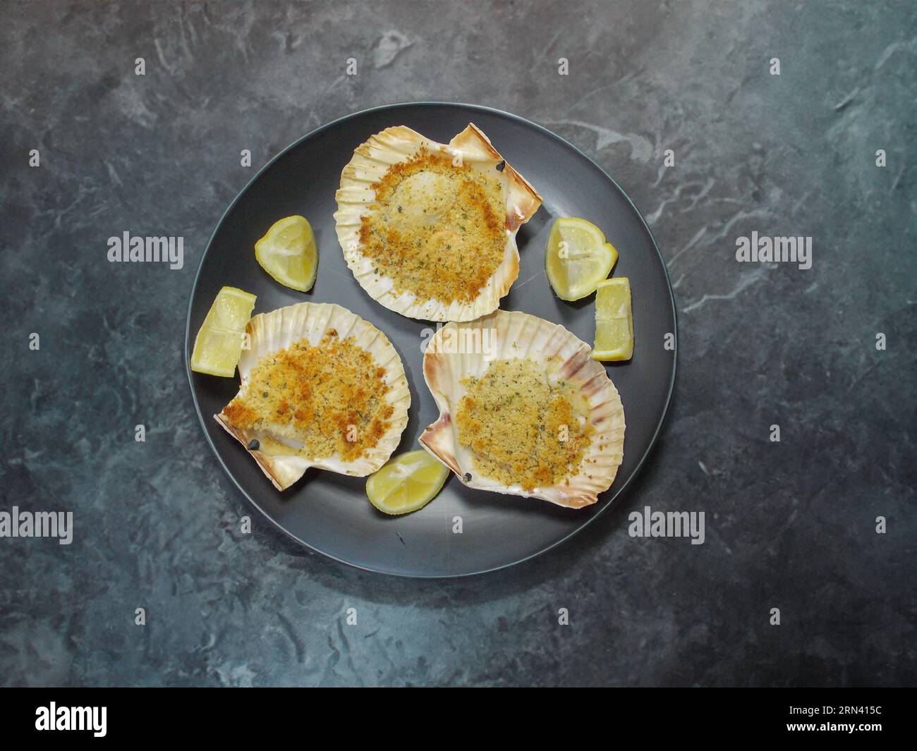 Jakobsmuscheln aus Gratin, im Ofen mit Petersilie und Zitrone gekocht Stockfoto