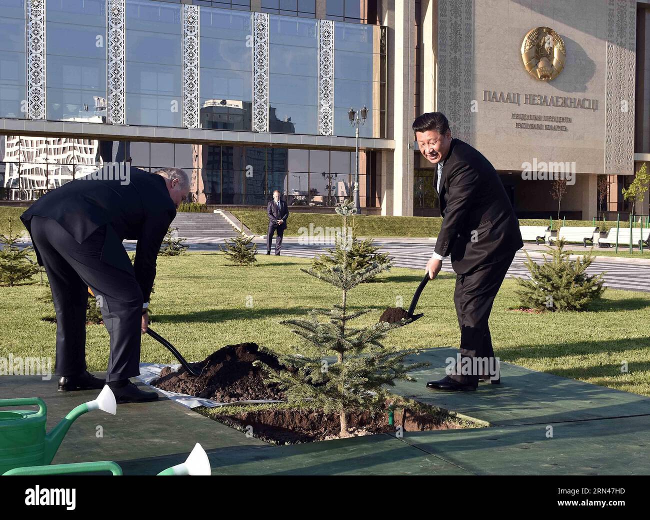 Der chinesische Präsident Xi Jinping (R) und der belarussische Präsident Alexander Lukaschenko Pflanzen eine Drachenfichte, die die Freundschaft zwischen den beiden Nationen symbolisiert, in Minsk, der Hauptstadt von Belarus, am 10. Mai 2015. XI kam hier am Sonntag zu einem dreitägigen Staatsbesuch in Belarus an, der erste von einem chinesischen Staatsoberhaupt seit 14 Jahren. ) (mt) BELARUS-CHINA-XI JINPING-LUKASCHENKO-BAUM-PFLANZEN LixTao PUBLICATIONxNOTxINxCHN der chinesische Präsident Xi Jinping r und der belarussische Präsident Alexander LUKASCHENKO Pflanzen einen Drachenspinnbaum, der die Freundschaft zwischen den beiden Nationen in Minsk, Hauptstadt von Belarus, symbolisiert. Mai 10 2015 X Stockfoto