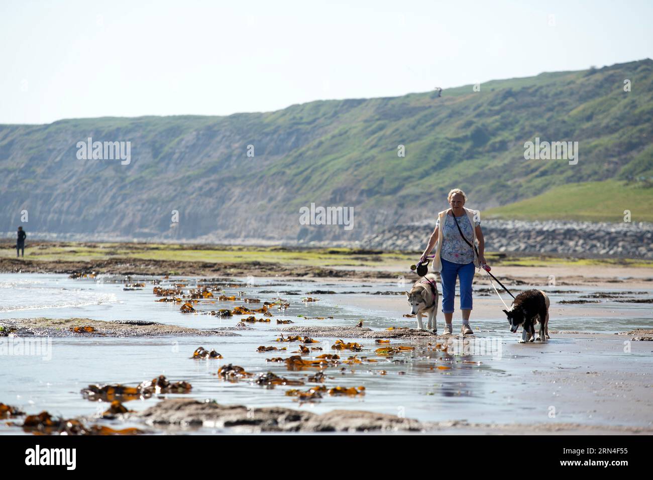 Scarborough im Norden Yorkshires, wo das Meer unsicher ist, ist die Wasserqualität in Scarborough aufgrund der Auswirkungen von Abwässern, die in die s eingeleitet werden, schlecht Stockfoto