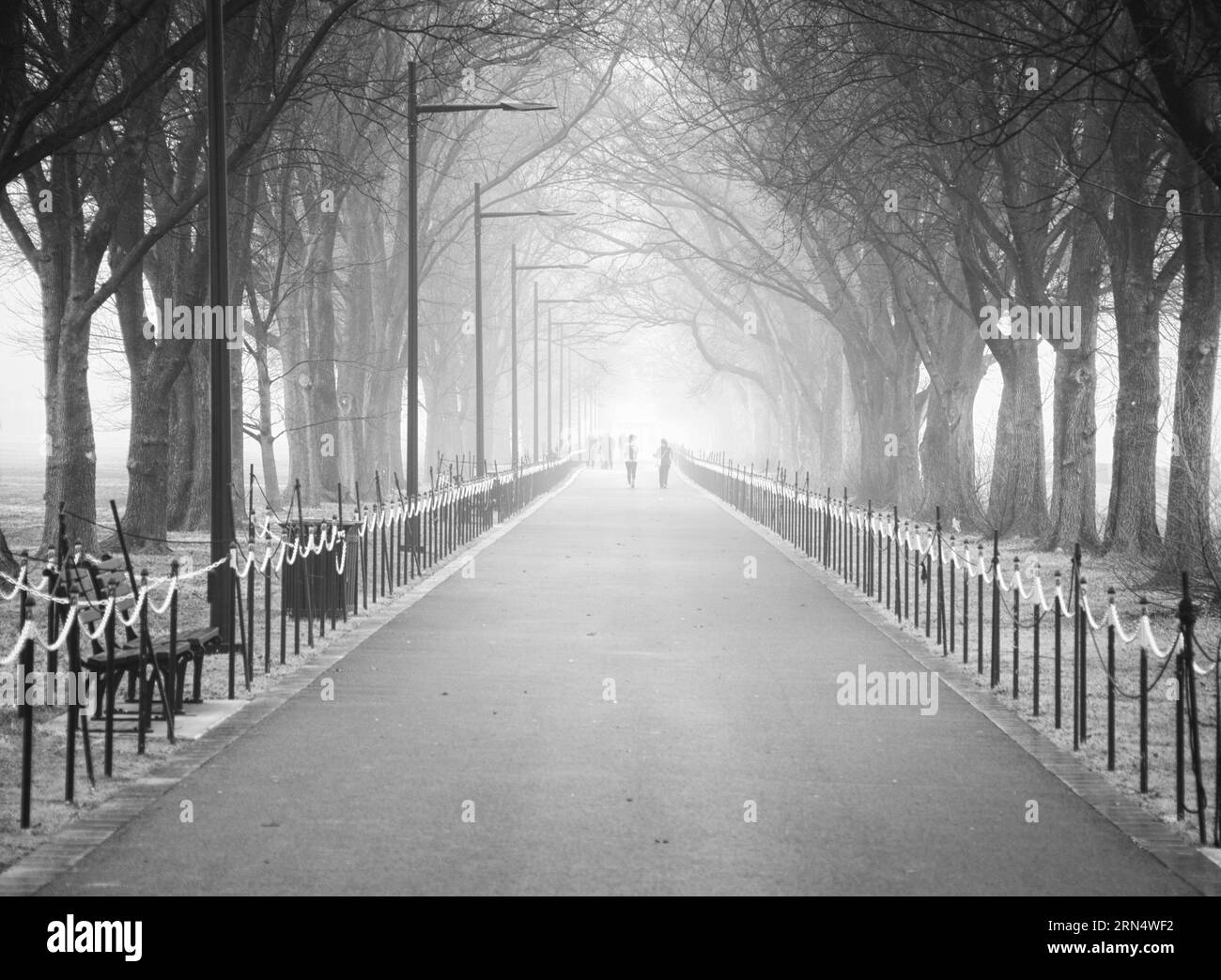 WASHINGTON DC, USA - Menschen zu Fuß entlang der Gehwege an der Seite der Lincoln Memorial Reflecting Pool an einem nebligen kalten Winter in Washington DC. Stockfoto