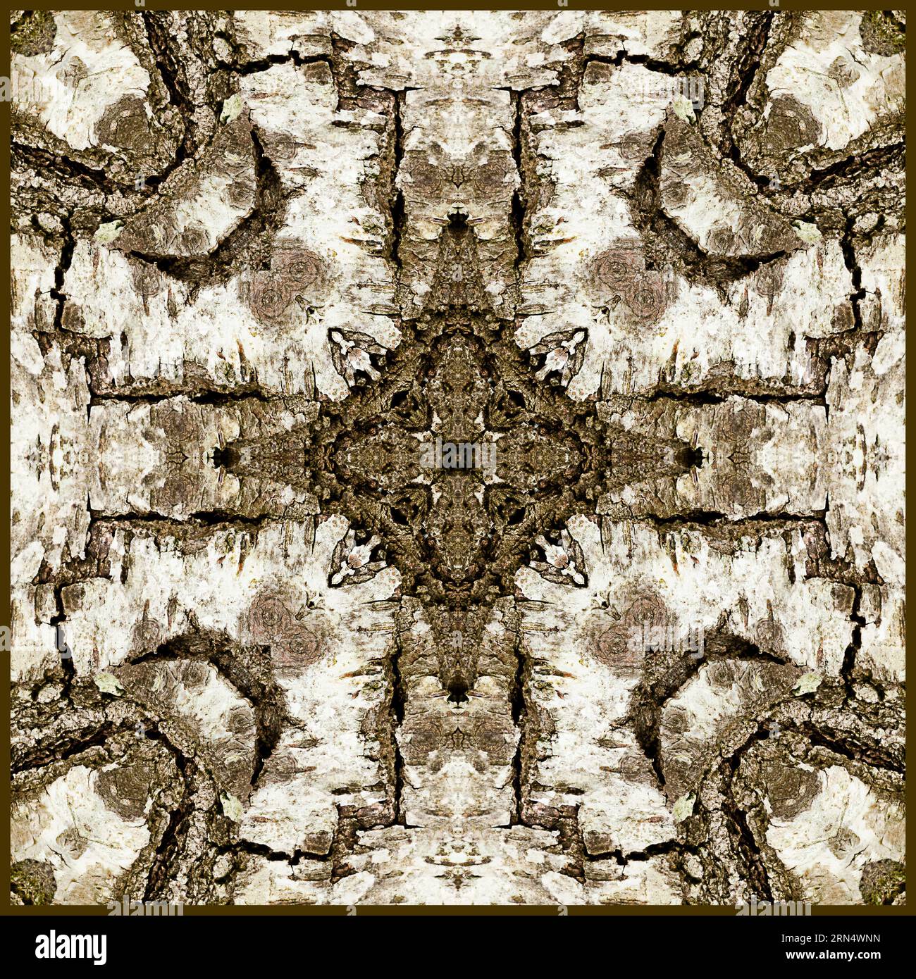 Kaleidoskop der Baumrinde Stockfoto