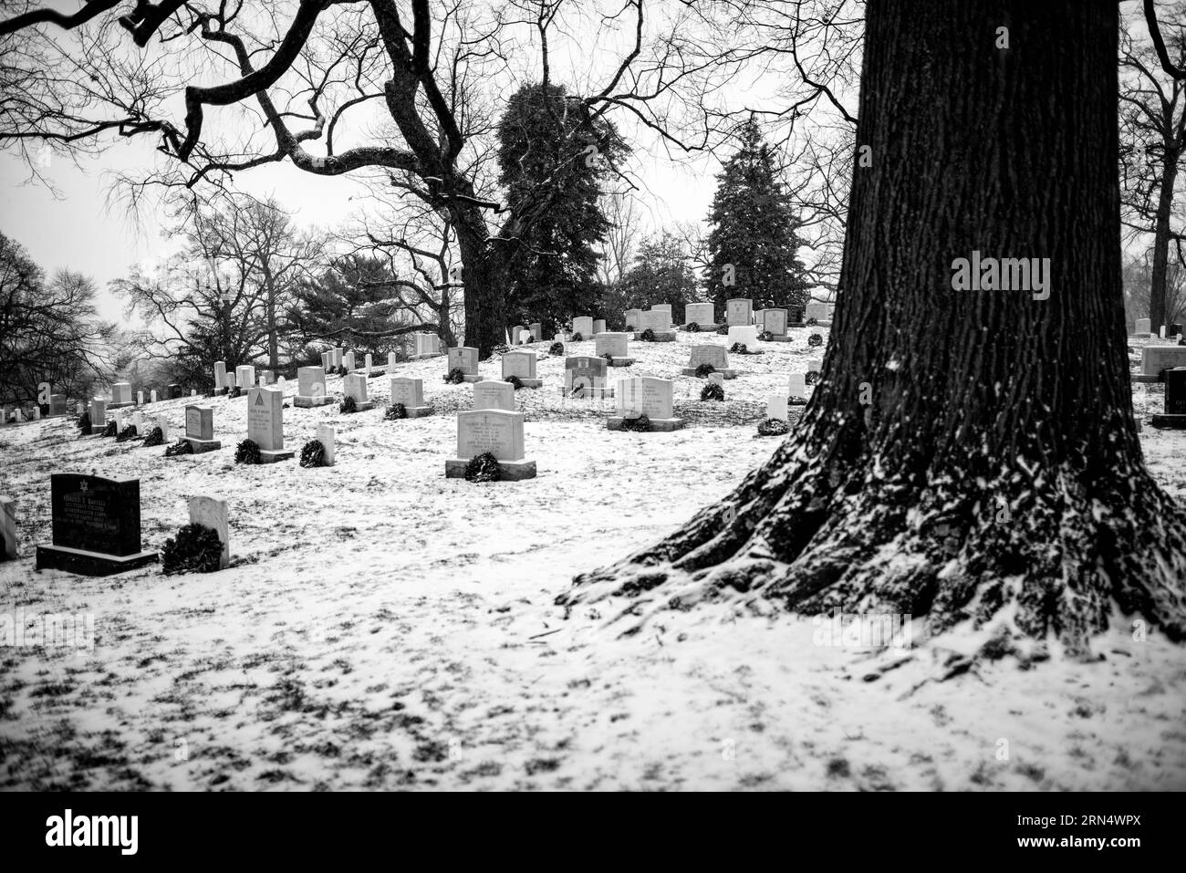 Der Boden des Arlington National Cemetery ist nach den letzten Schneefällen in einer leichten Schneedecke bedeckt. Stockfoto