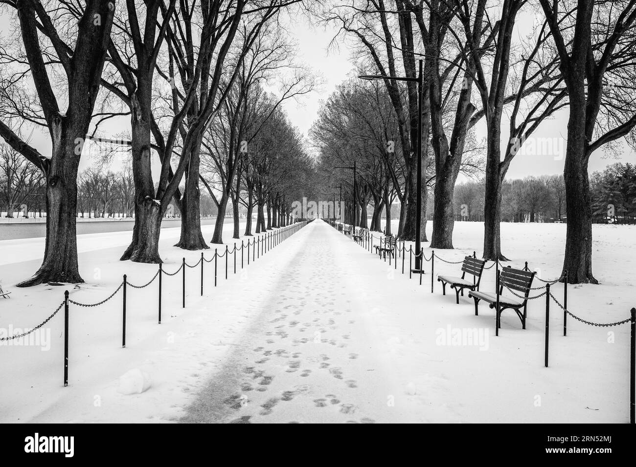 Schneebedeckter Pfad auf der National Mall, Washington, D.C. Schwarzweißfoto mit einem freigelegten Wanderweg, der nach einem Schneesturm von Bäumen und Bänken gesäumt ist. Stockfoto
