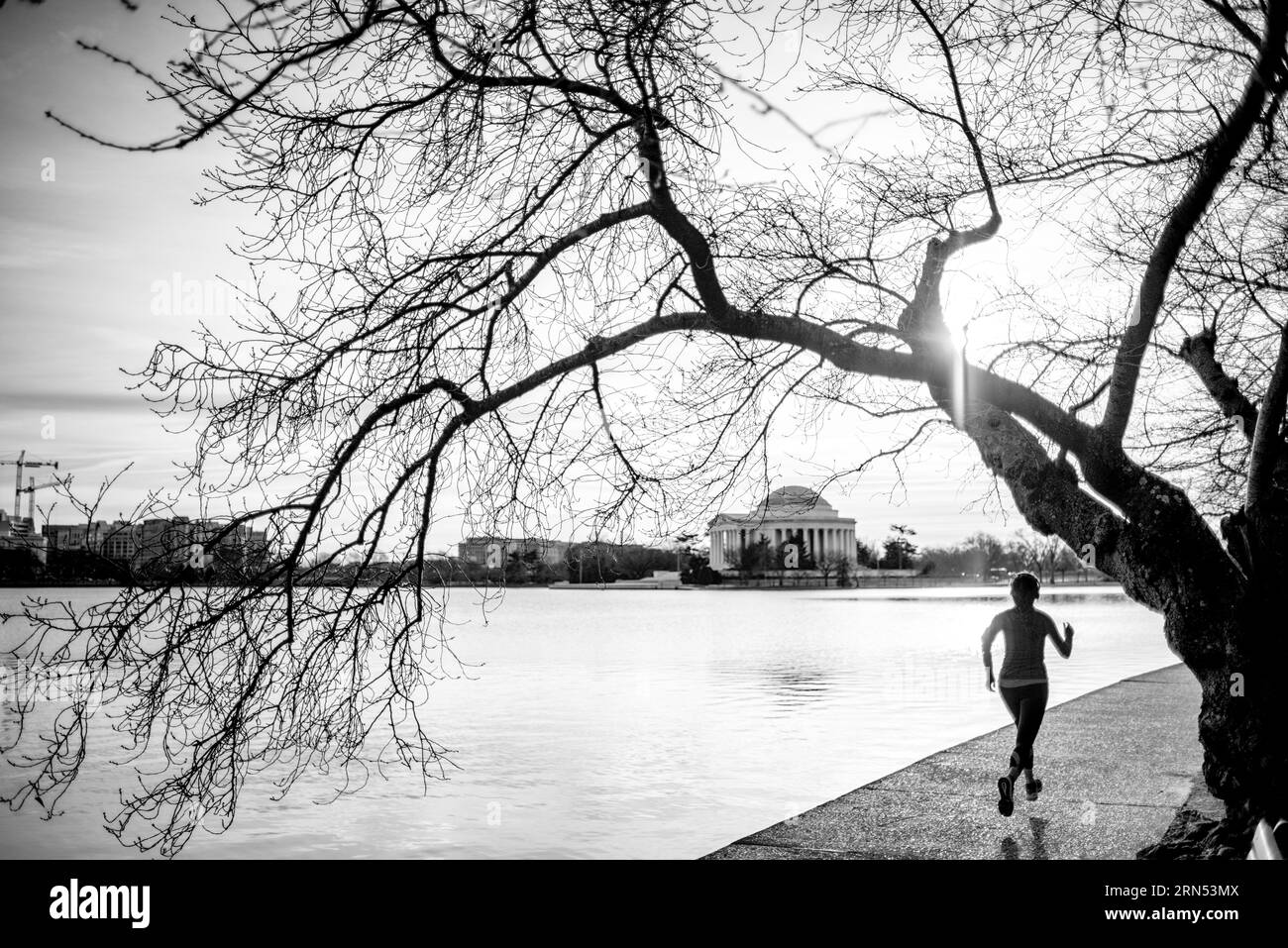 WASHINGTON DC, USA - in jedem Frühjahr, tausende Kirschbäume rund um das Tidal Basin in Washington DC in voller Blüte stehen, was für eine wichtige touristische zeichnen. Diese Aufnahme ist in den frühen Frühling genommen, bevor die Bäume blühten haben. Stockfoto