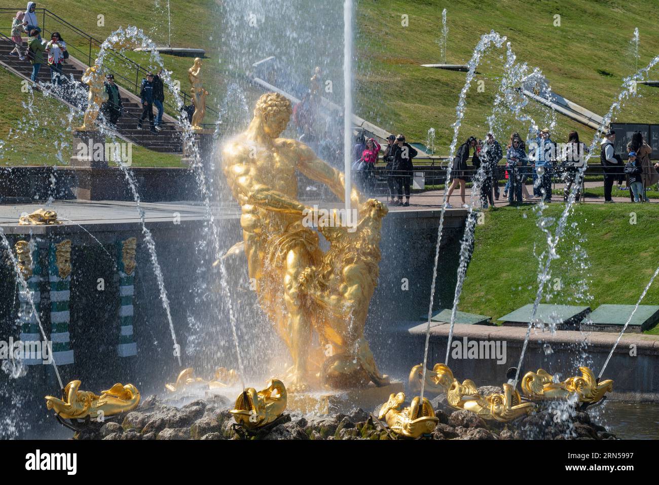 PETRODVORETS, RUSSLAND - 11. MAI 2023: Skulptur von Samson, die an einem Maitag den Mund eines Löwen reißt. Brunnen von Peterhof Stockfoto
