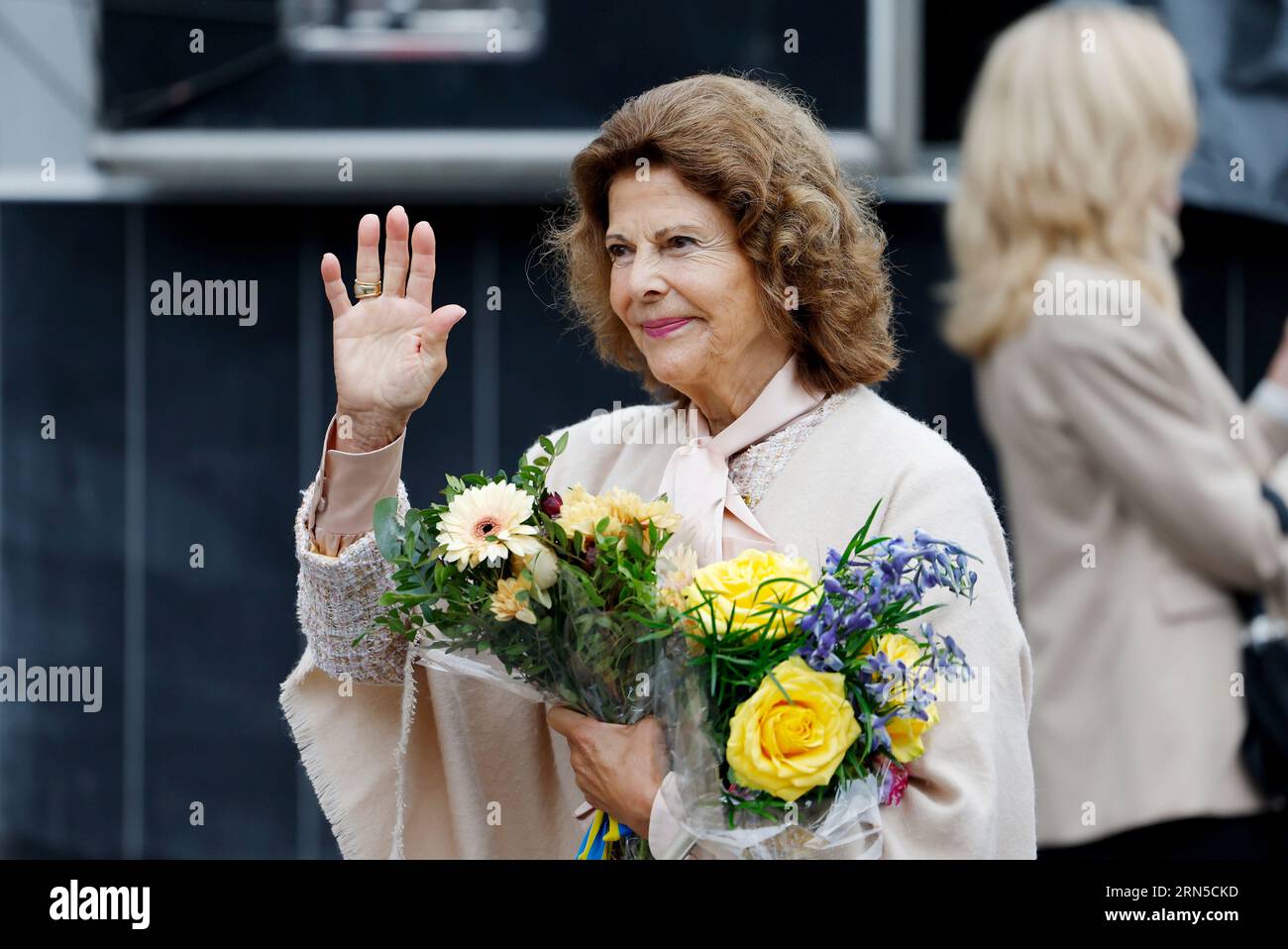 Königin Silvia kommt am 31. August 2023 in Radhustorget in Umea während des königlichen Besuchs im Vasterbotten County in Schweden an, um HM das 50. Jubiläum des Königs zu feiern. Foto: Christine Olsson /TT / Code 10430 Stockfoto