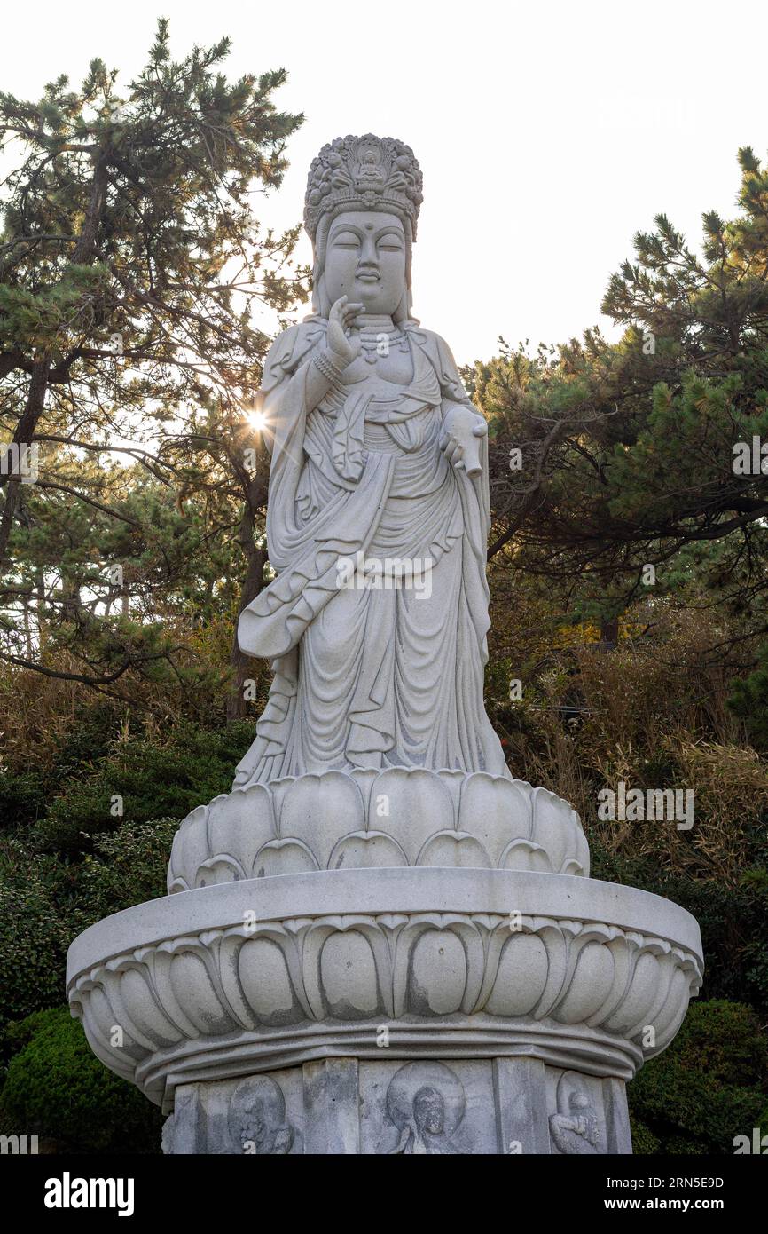 Gwanseeum-bosal, Bodhisattva des Mitgefühls, Haedong Yonggungsa Tempel, Busan, Provinz Gyeongsangnam-do Stockfoto