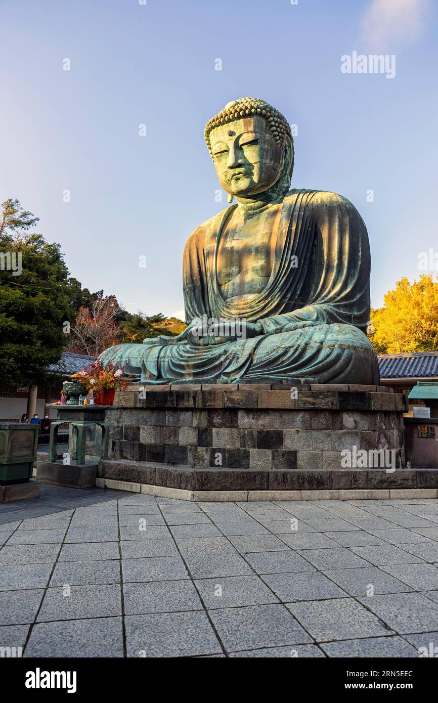 Der große Buddha der Bronze (Daibutsu) auf dem Gelände des Kotokuin-Tempels, Kamakura, Präfektur Kanagawa Stockfoto