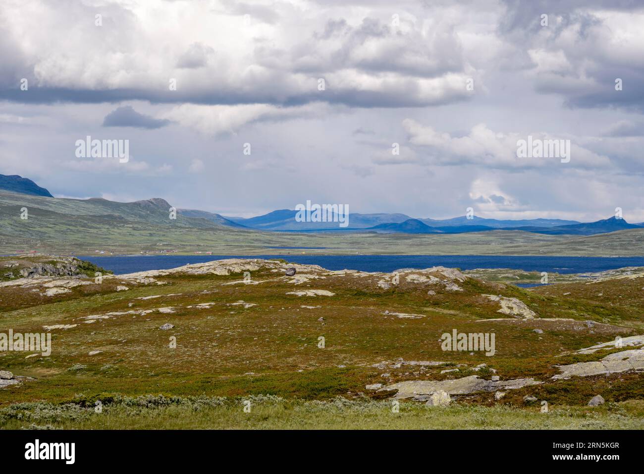 Tundralandschaft mit See, Fjell, Oystre Slidre, Jotunheimen Nationalpark, Norwegen Stockfoto