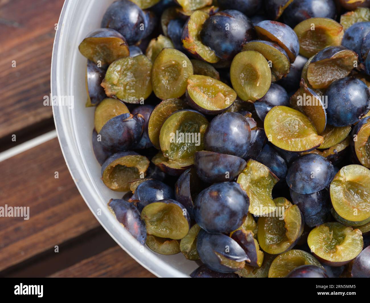 Zerschnittene Schwarzdorne in Plastikschale. Nahaufnahme. Stockfoto