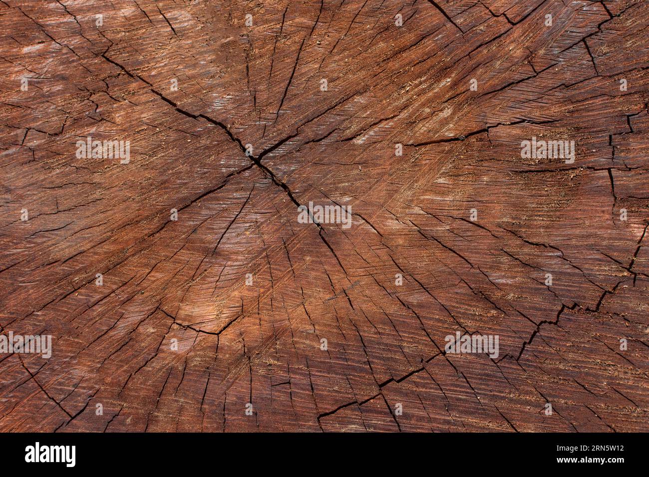 Draufsicht Holzstruktur Stockfoto
