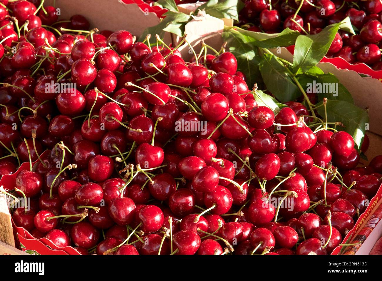 Kirschen, Close, Märkte, Open Air, Palermo, Hauptstadt, Sizilien, Italien Stockfoto