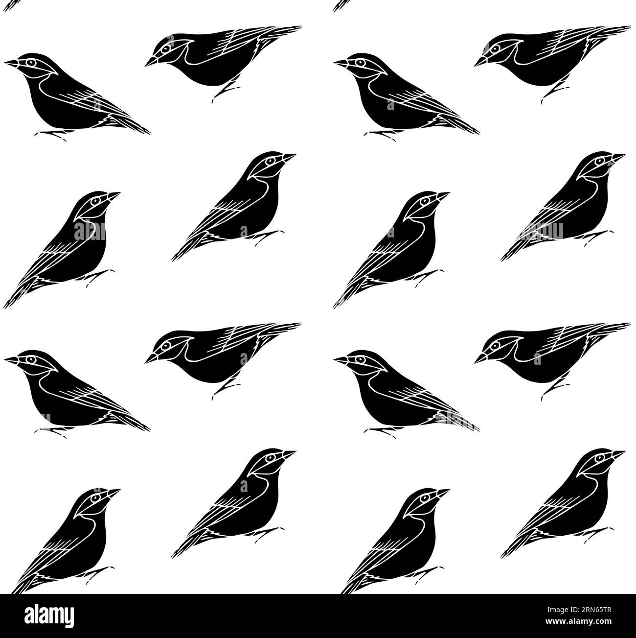 Vektor nahtloses Muster von Hand gezeichnet Doodle Skizze schwarz Nuthatch Vogel isoliert auf weißem Hintergrund Stock Vektor