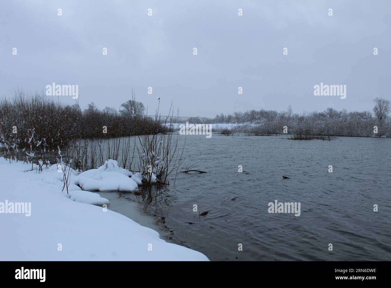 Winterlandschaft. Fluss See ohne Eissumpf Pflanzen neg. Winterunterhaltung. Pflanzen im Schnee. Stockfoto