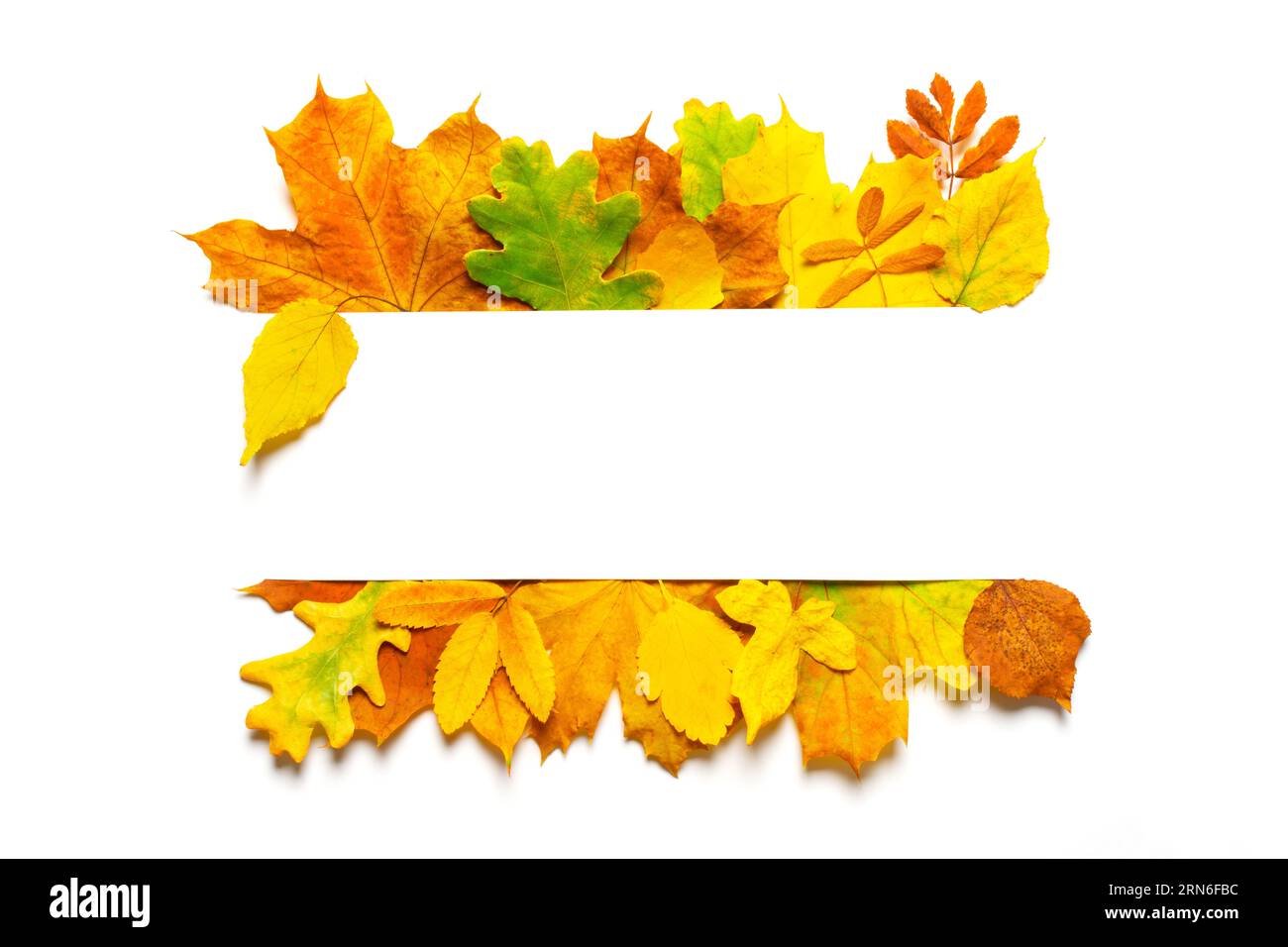 Flaches Design mit Herbstlaub und Rahmen. Unbeschriftete Herbsteinladungskarte, Hintergrund für Danksagungen. Flacher Herbst hinterlässt Einladungsmuster Stockfoto