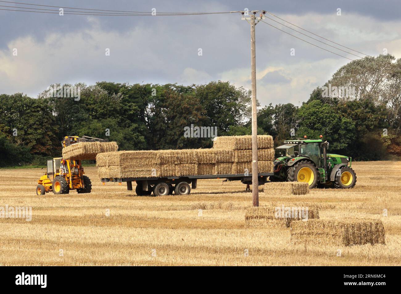 Traktor, der Strohballen auf einen Anhänger auf einem englischen Feld lädt Stockfoto