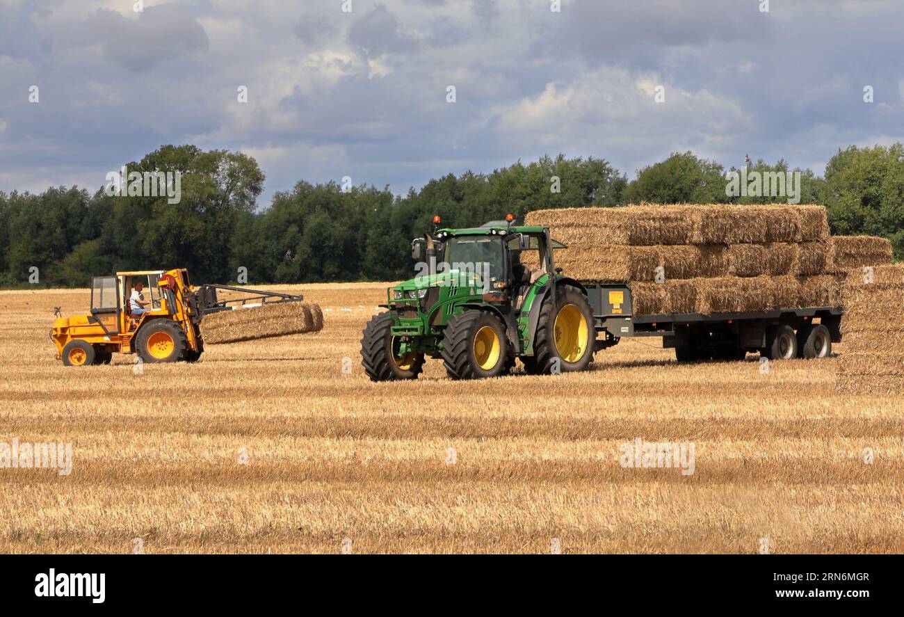 Traktor, der Strohballen auf einen Anhänger auf einem englischen Feld lädt Stockfoto